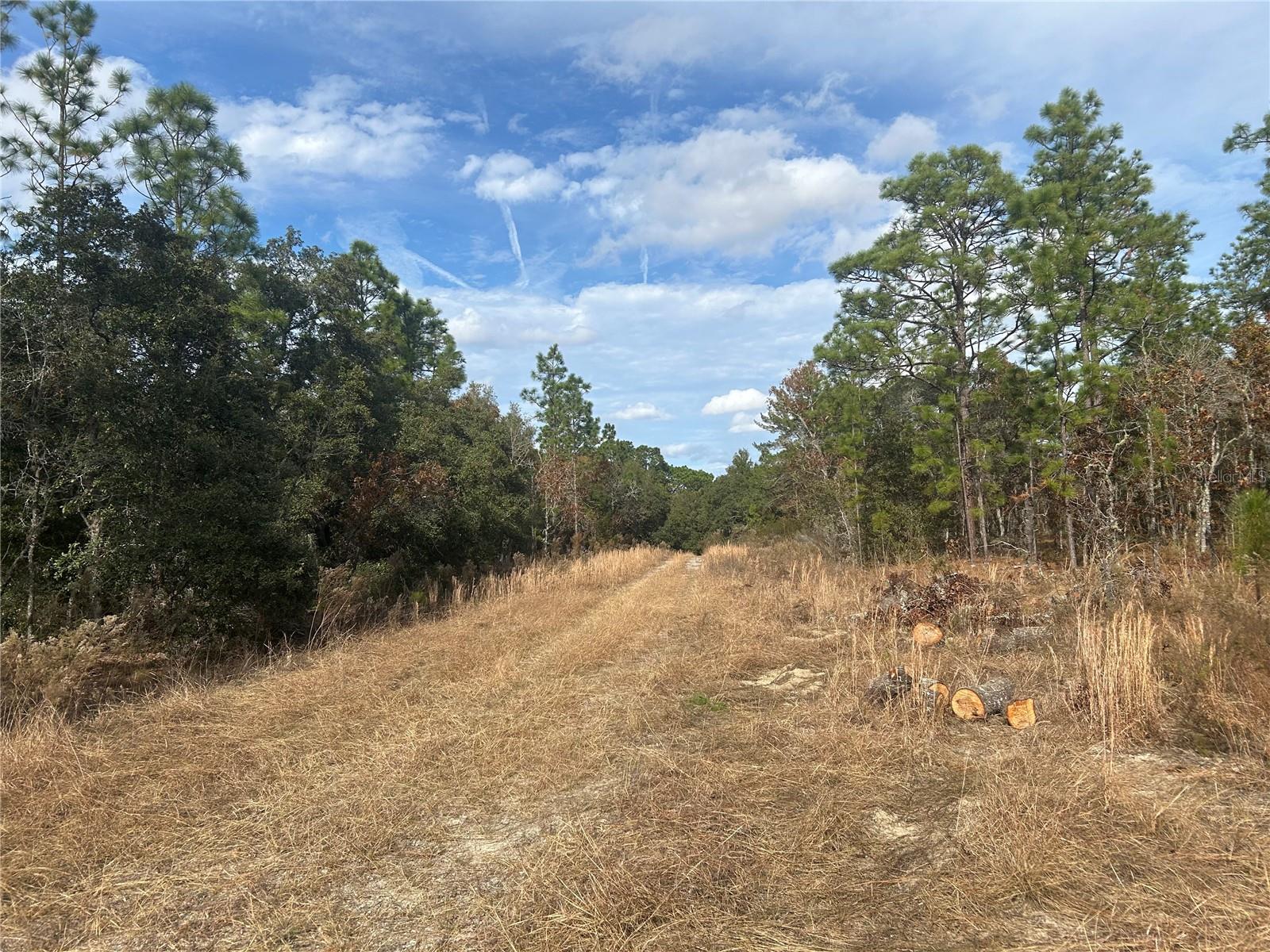 Tbd Ne 149th Ct Property Photo 2
