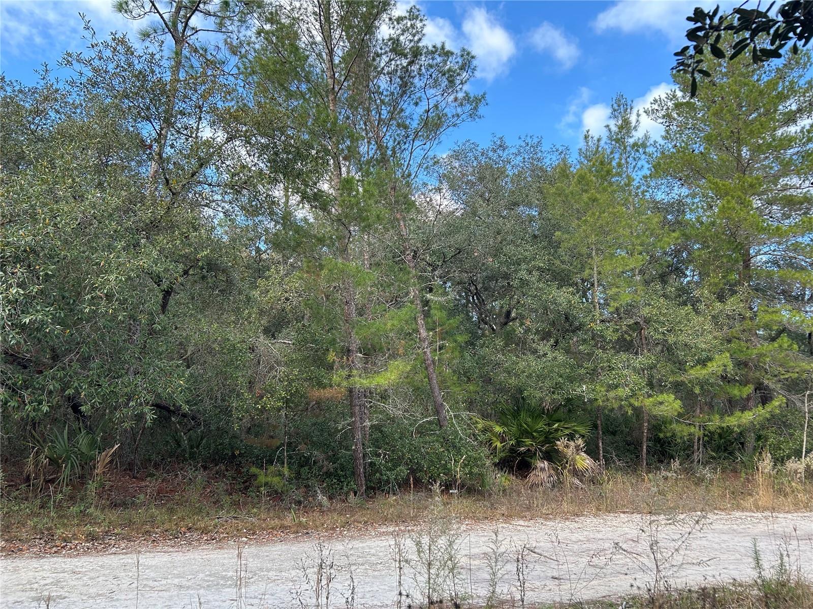 Tbd Ne 236 Pl Property Photo 4