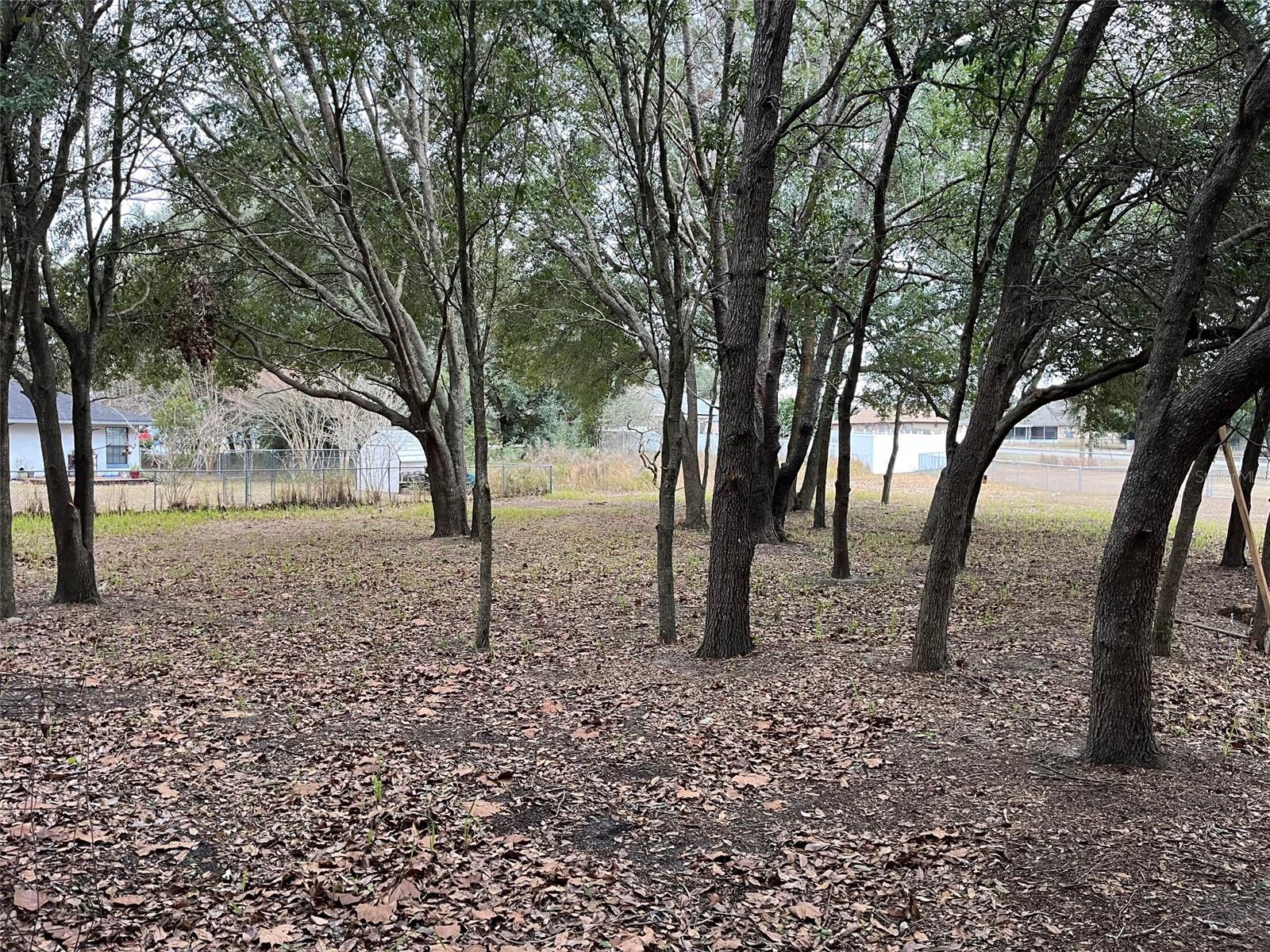 Lot 30 Hemlock Radial Ct Property Photo 1