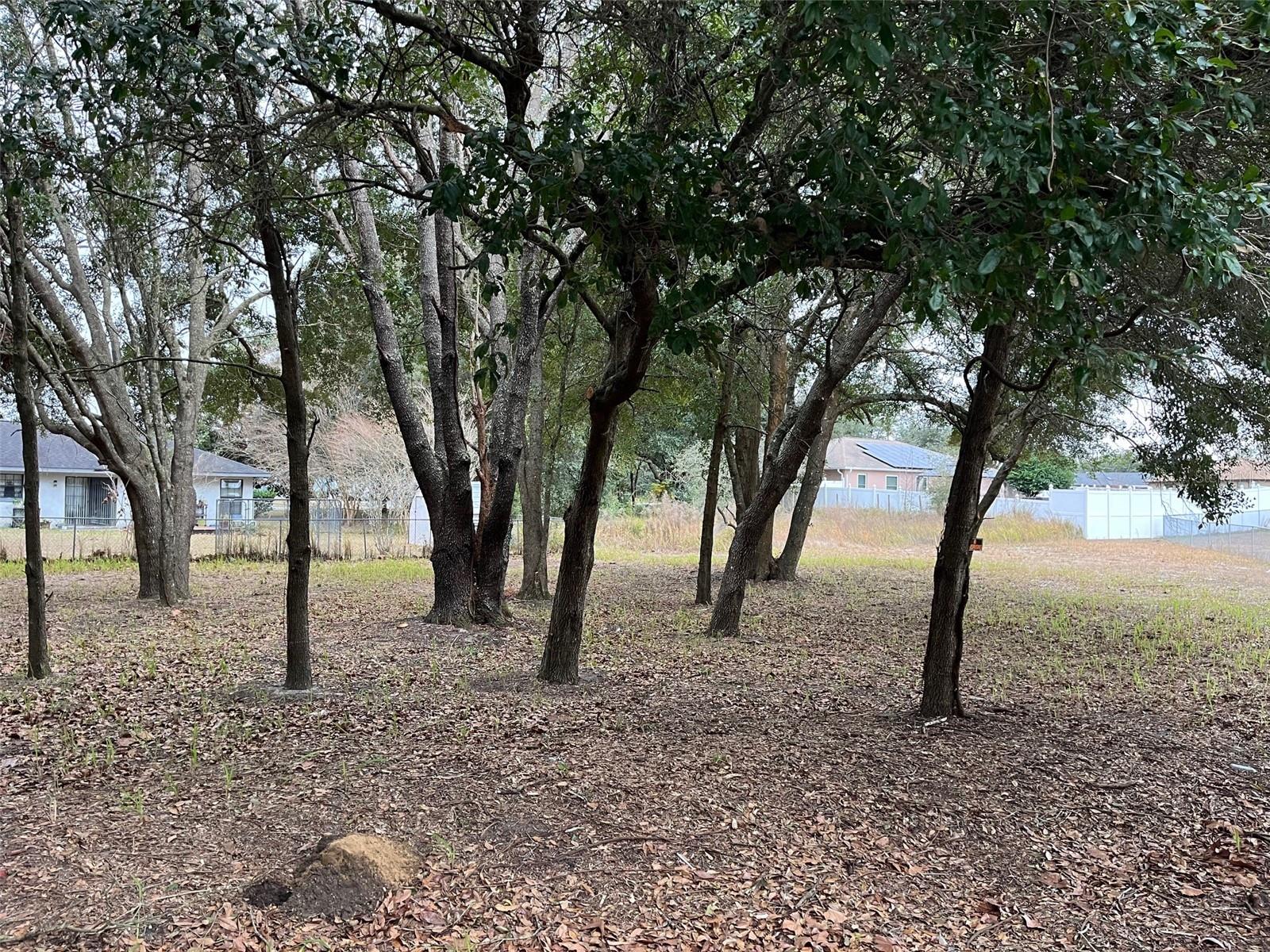 Lot 30 Hemlock Radial Ct Property Photo 5