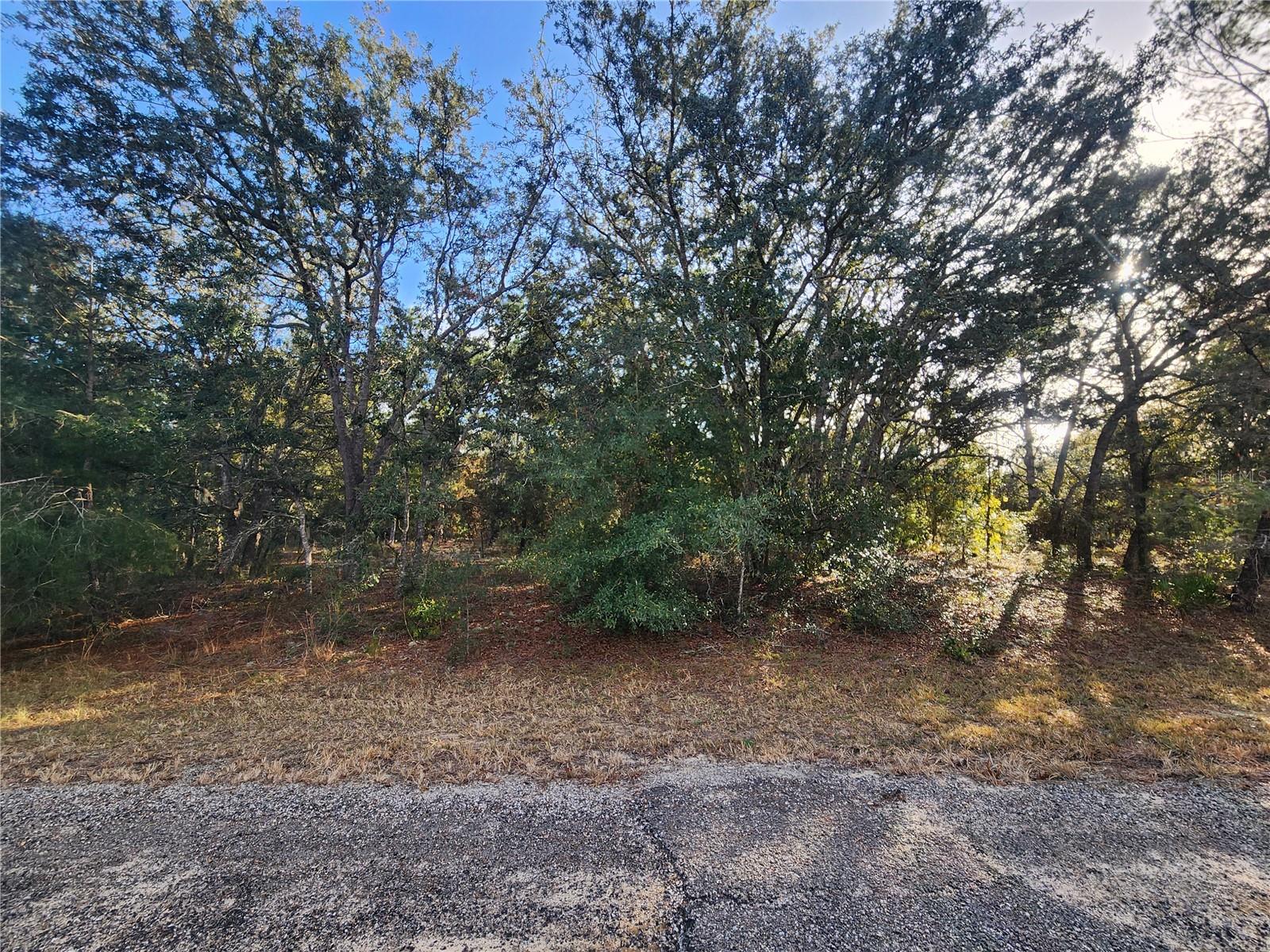 2176 W Conway Dr Property Photo 1
