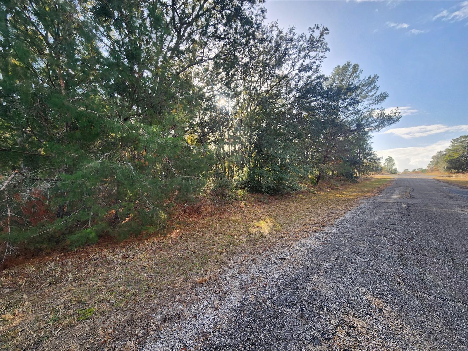2176 W Conway Dr Property Photo 2