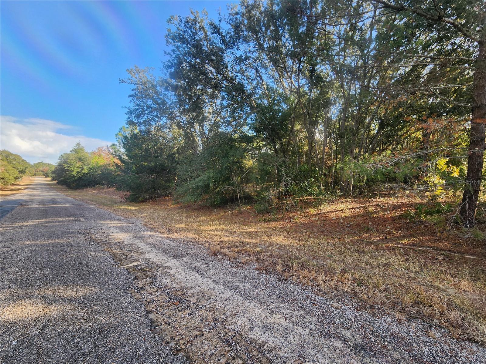2176 W Conway Dr Property Photo 3