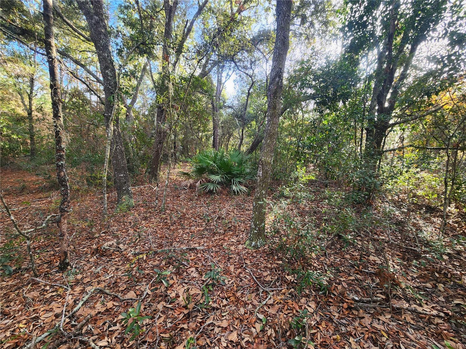 2176 W Conway Dr Property Photo 8