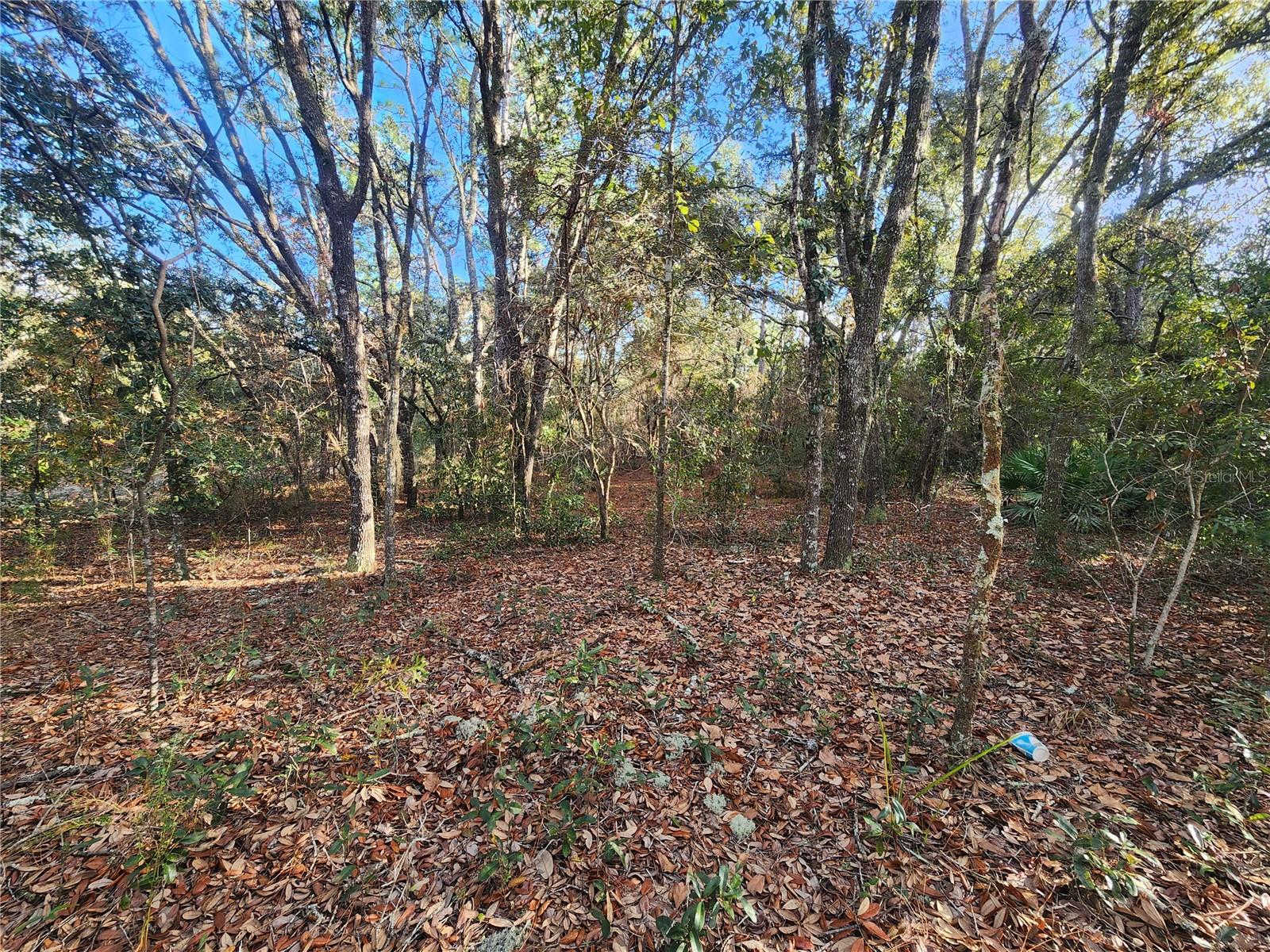 2176 W Conway Dr Property Photo 9