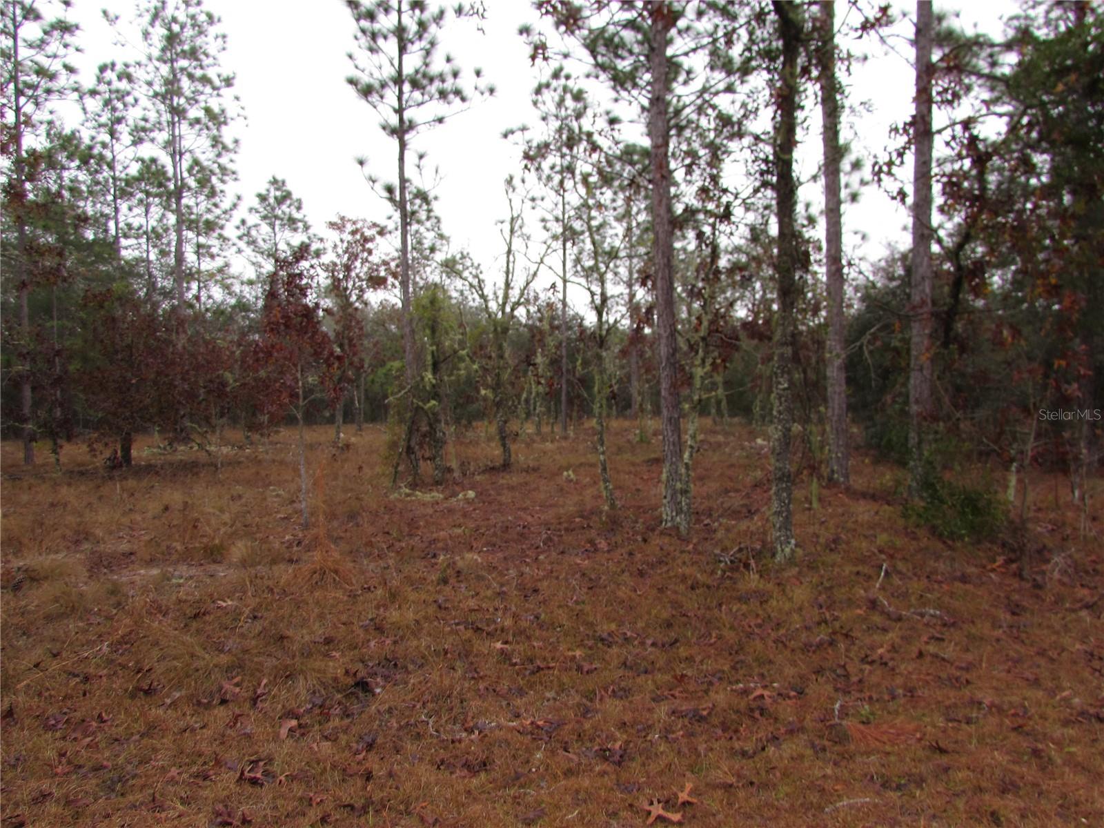 Lot 57 Se 131 Ter Property Photo 1