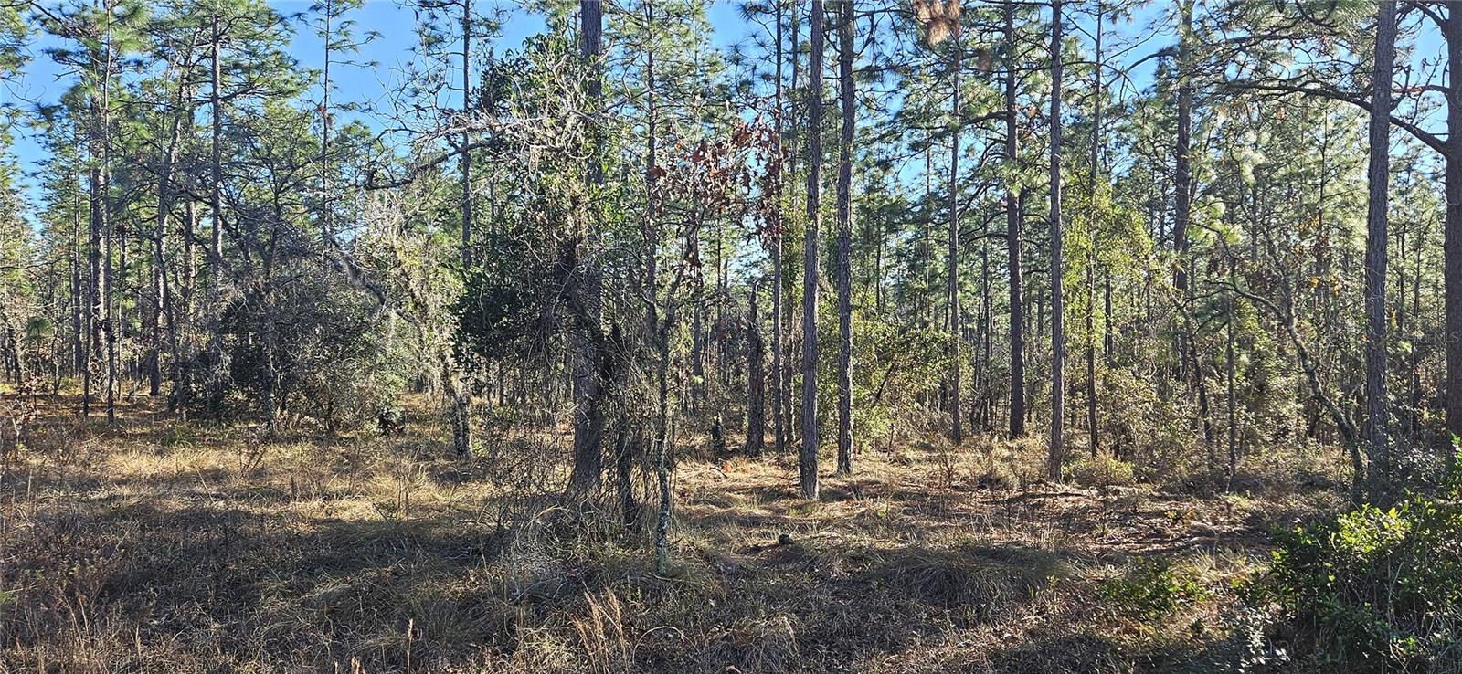 Lot 13 Nw Water Oak Avenue Property Photo 1