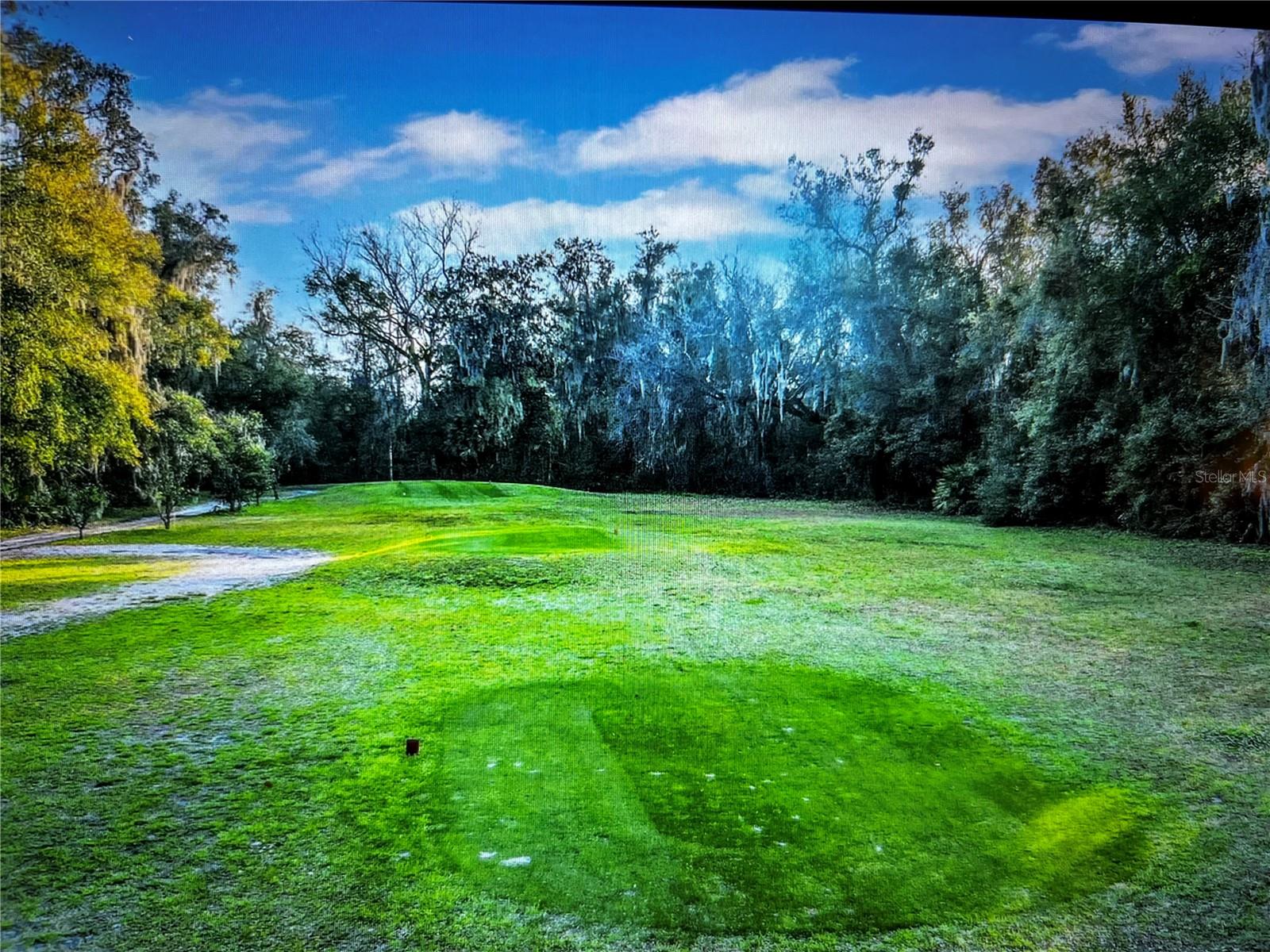260 Live Oak Loop Property Photo 7