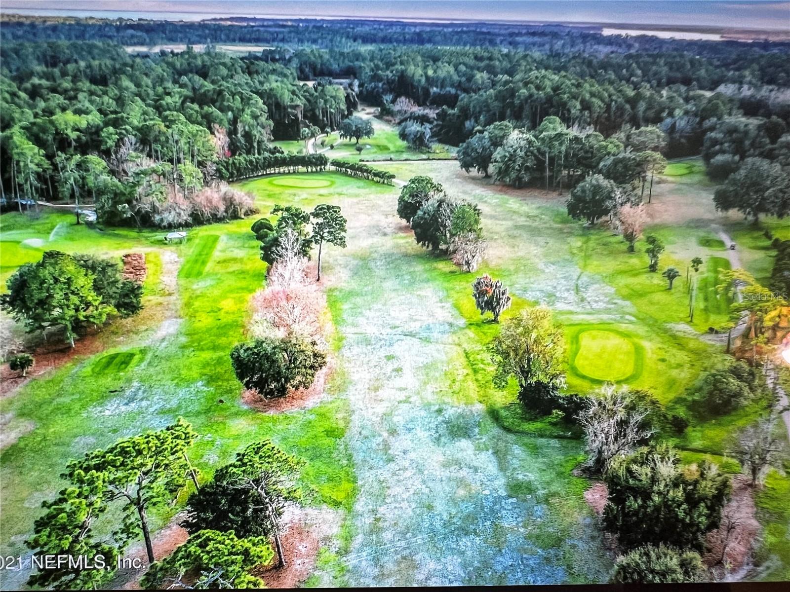 260 Live Oak Loop Property Photo 8