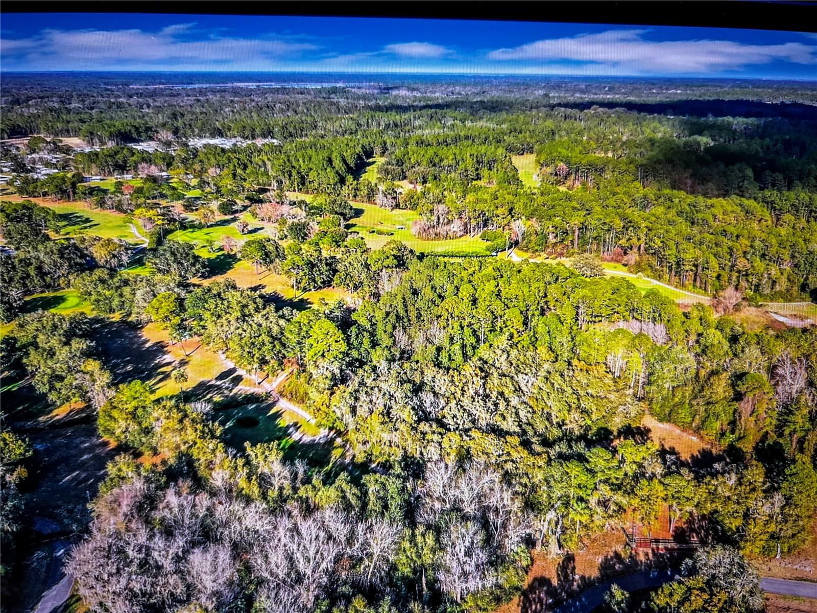 260 Live Oak Loop Property Photo 9