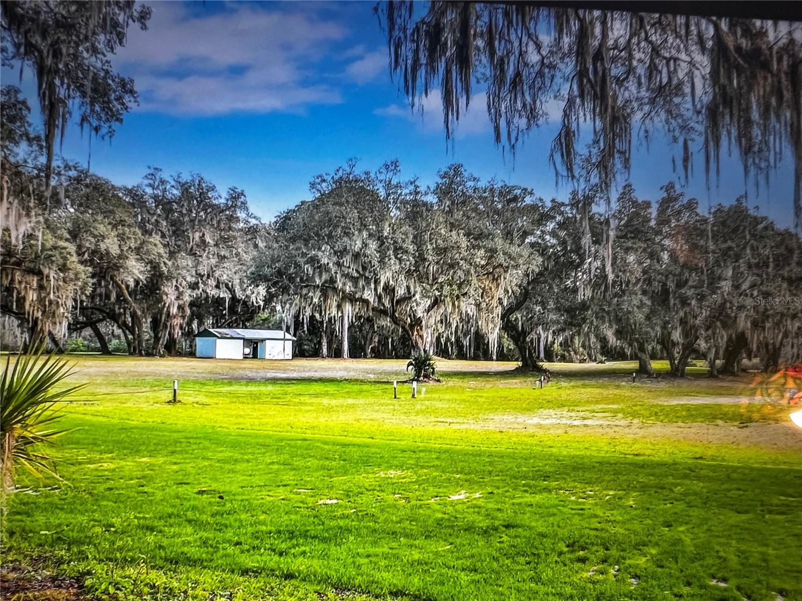 260 Live Oak Loop Property Photo 11