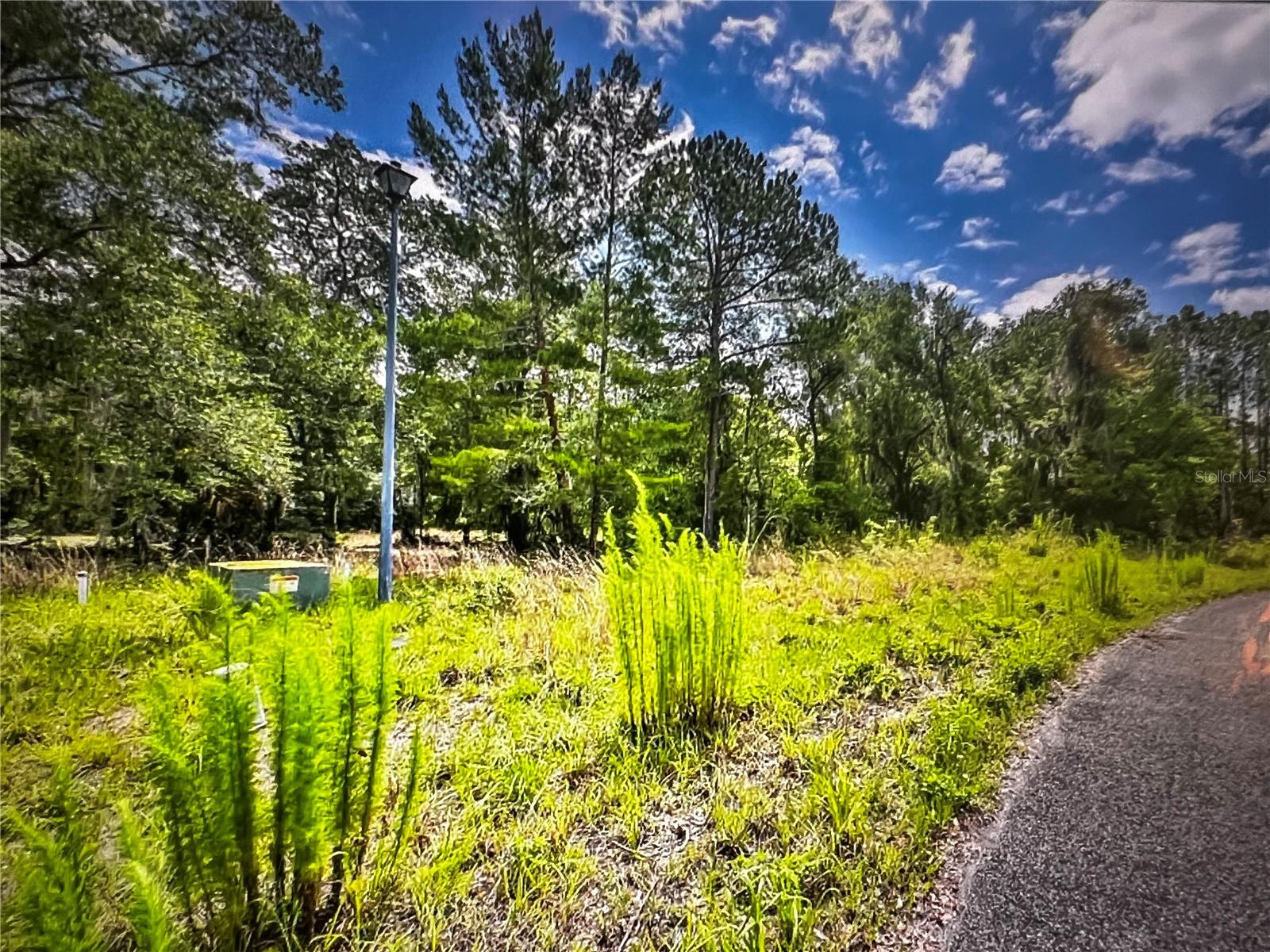 260 Live Oak Loop Property Photo 12