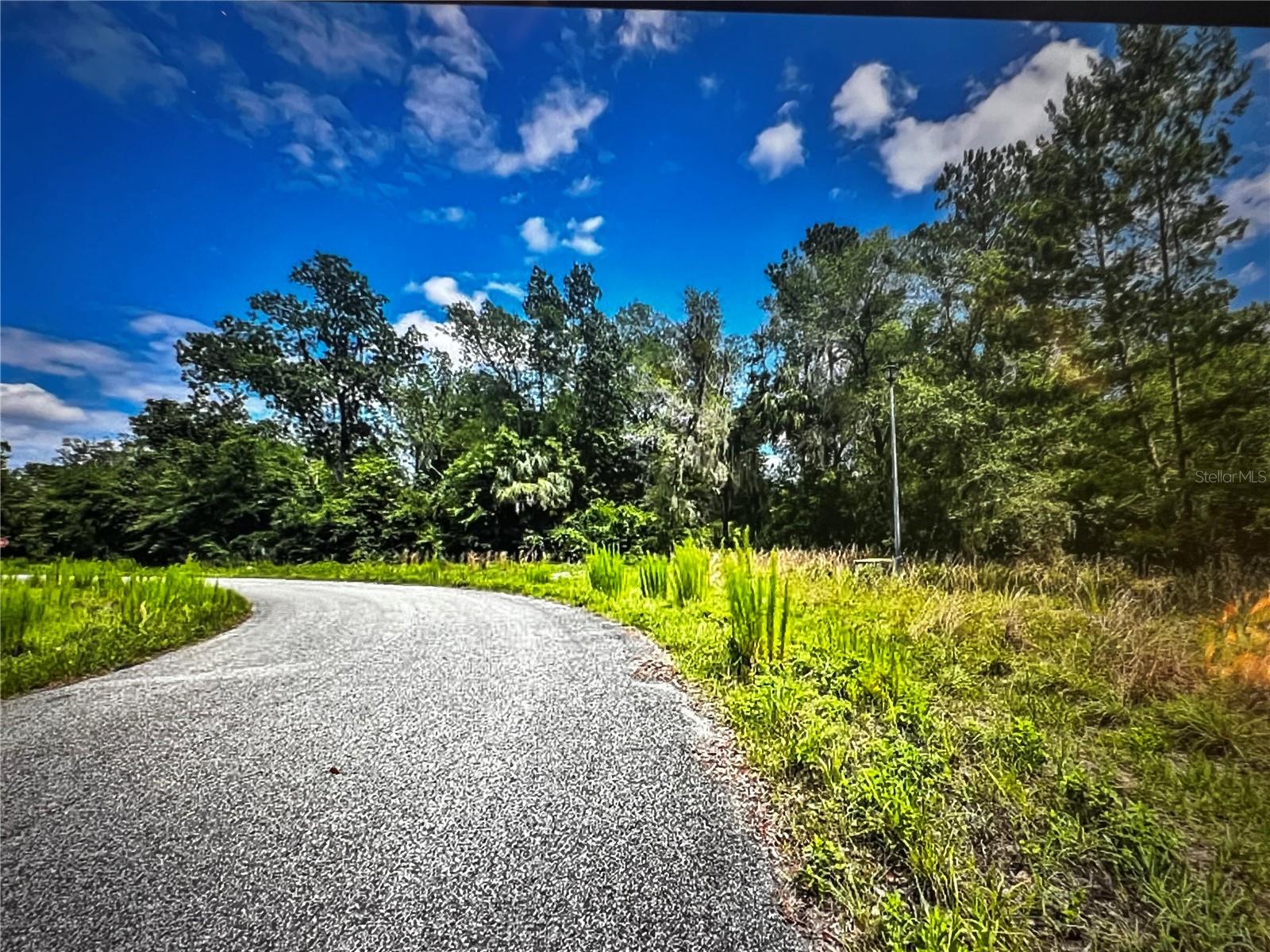 260 Live Oak Loop Property Photo 13