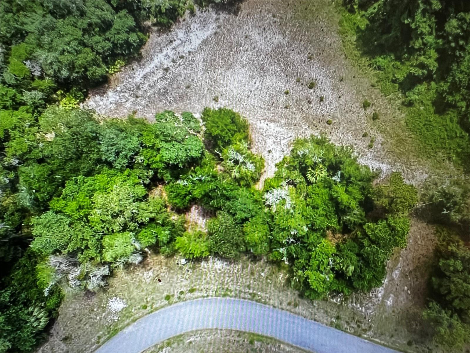 260 Live Oak Loop Property Photo 19