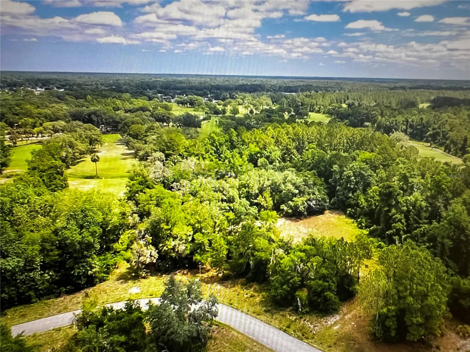 260 Live Oak Loop Property Photo 20