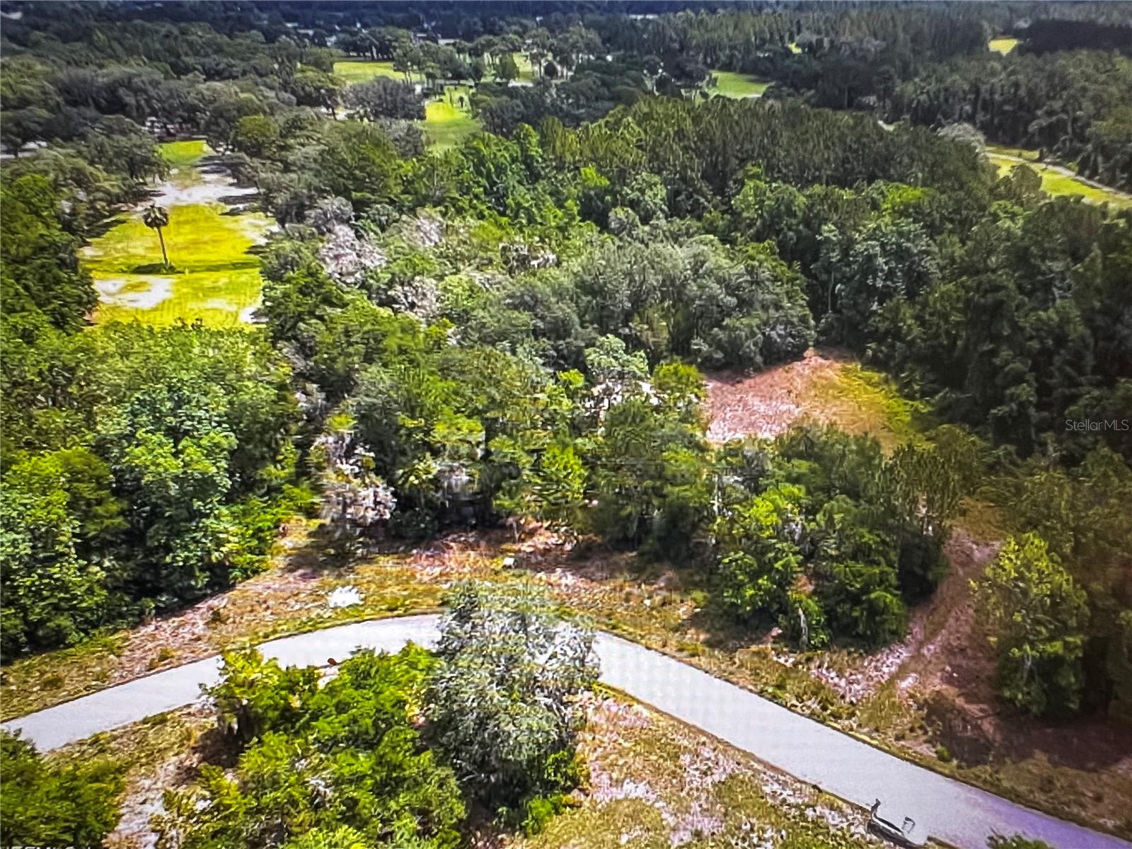 260 Live Oak Loop Property Photo 21