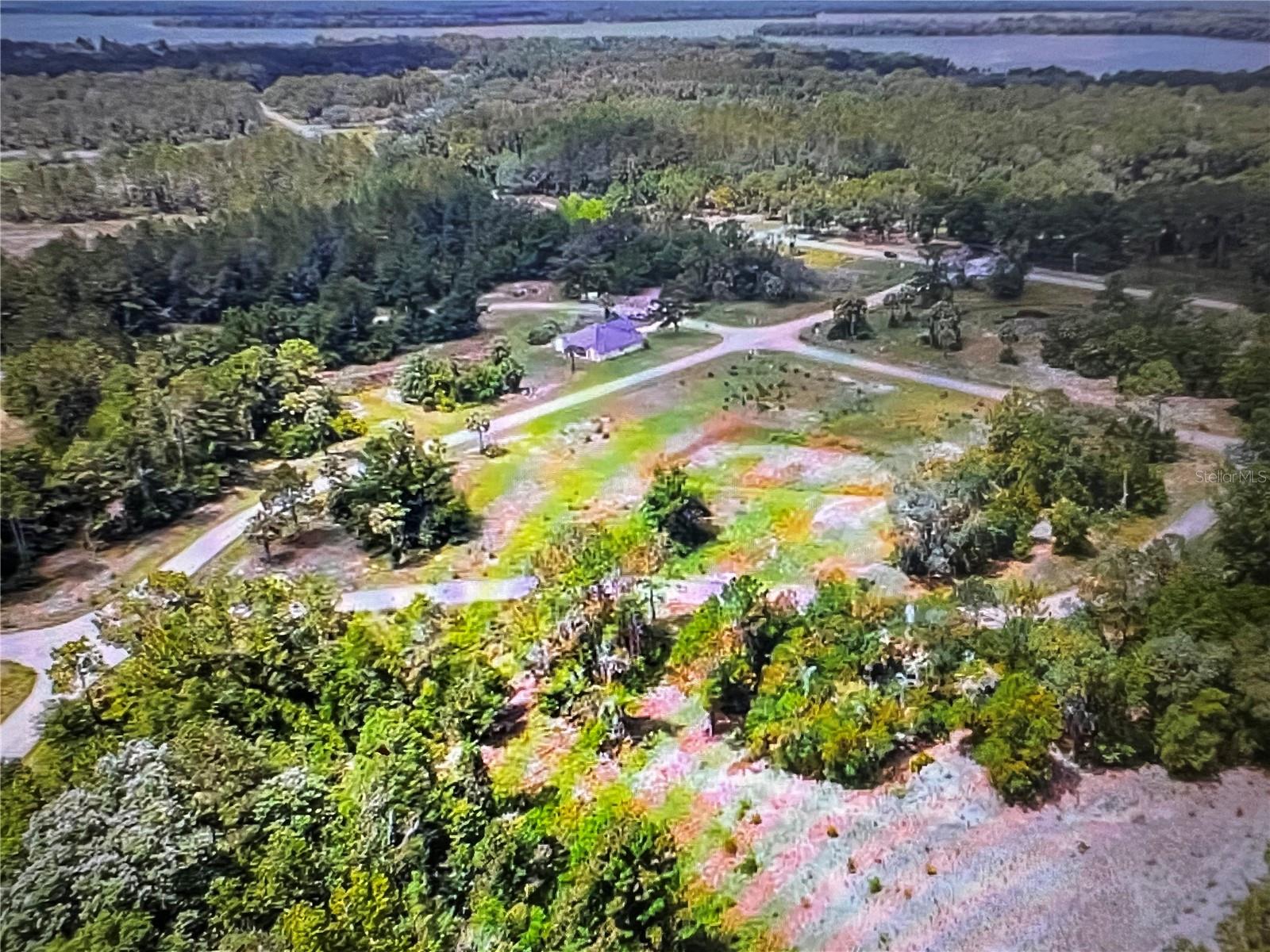 260 Live Oak Loop Property Photo 22