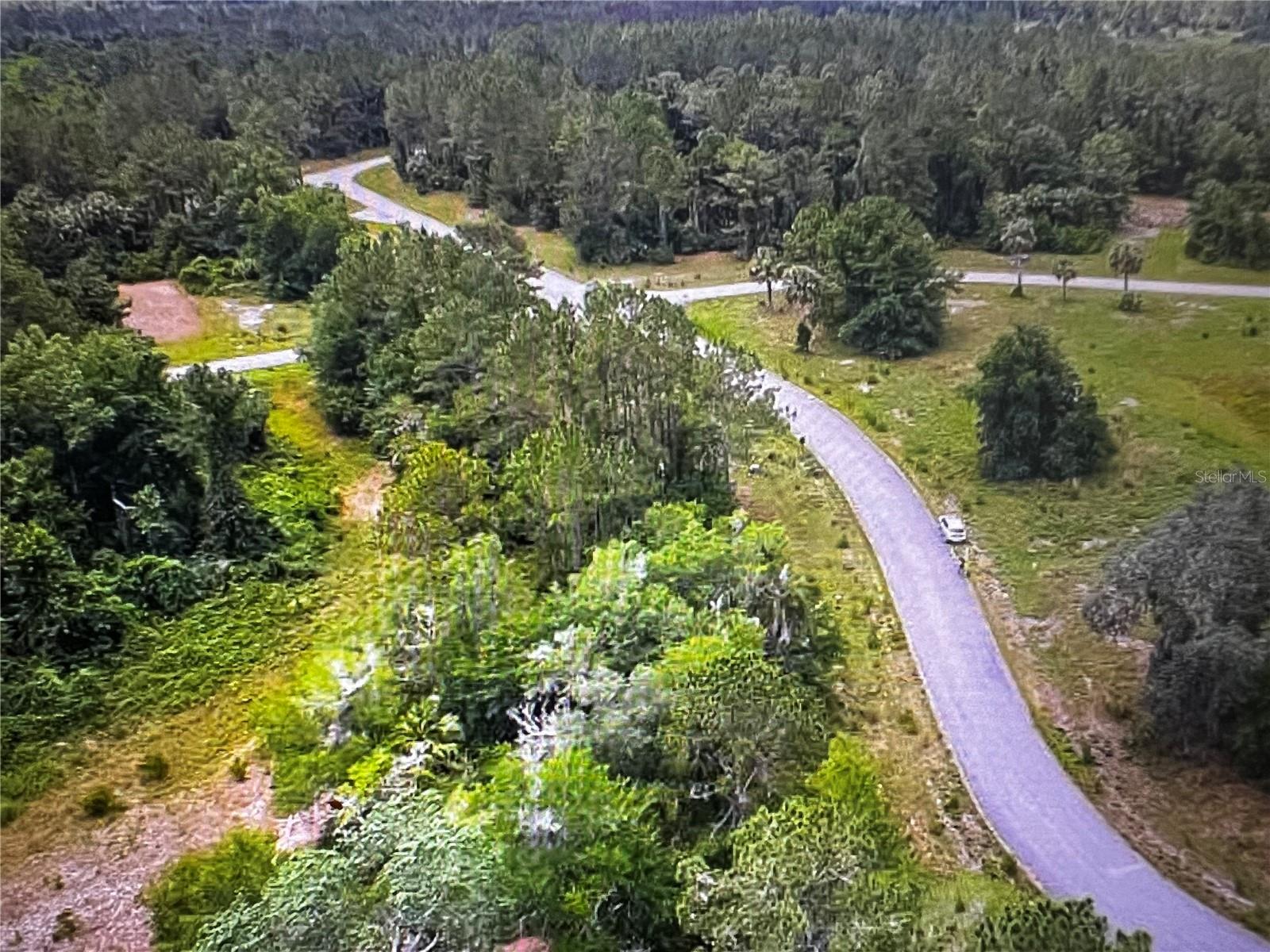 260 Live Oak Loop Property Photo 23