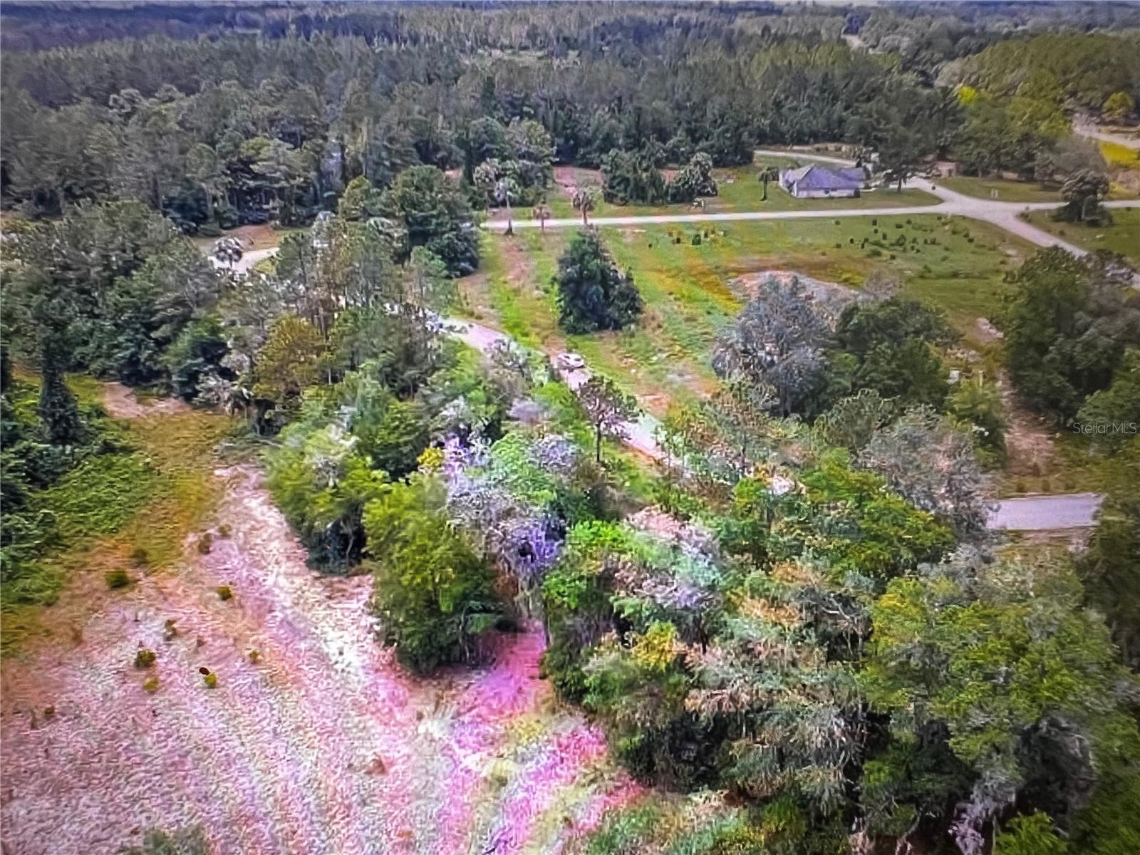 260 Live Oak Loop Property Photo 24