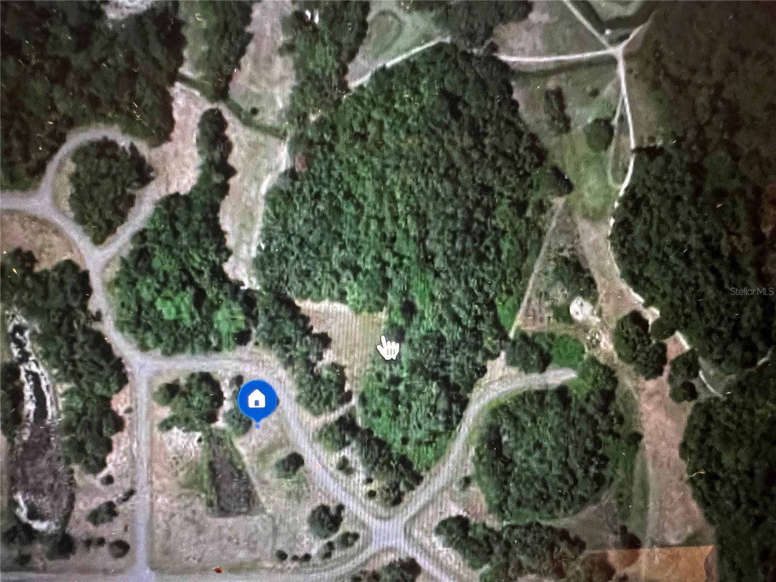 260 Live Oak Loop Property Photo 25