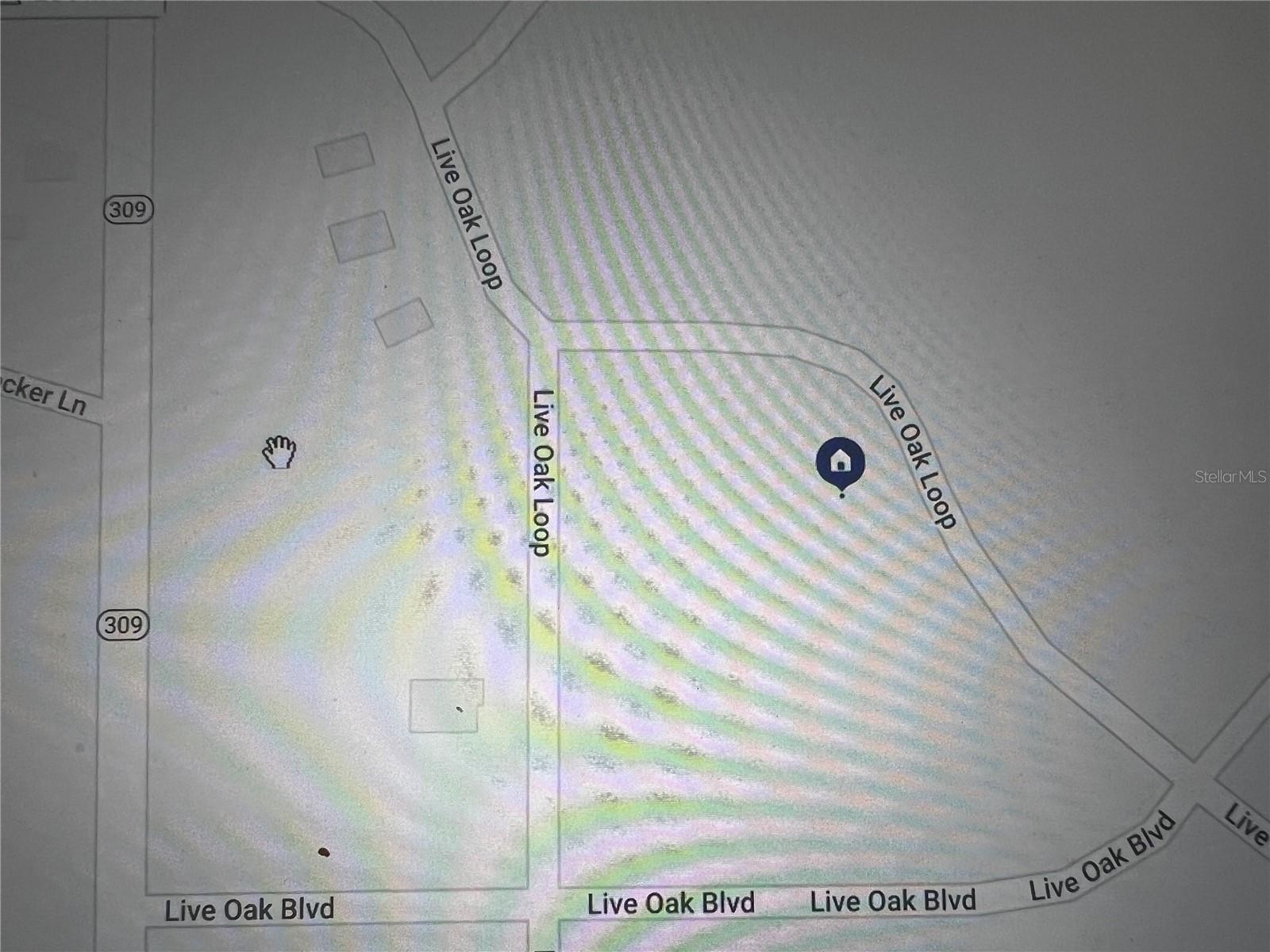 260 Live Oak Loop Property Photo 26
