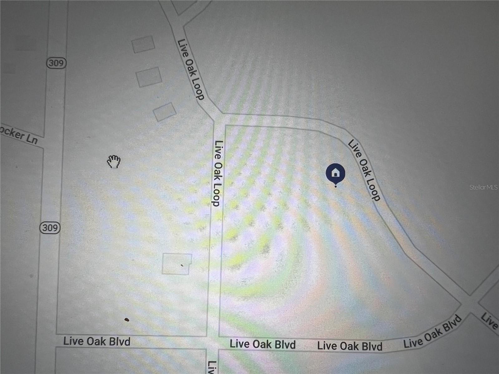 260 Live Oak Loop Property Photo 27