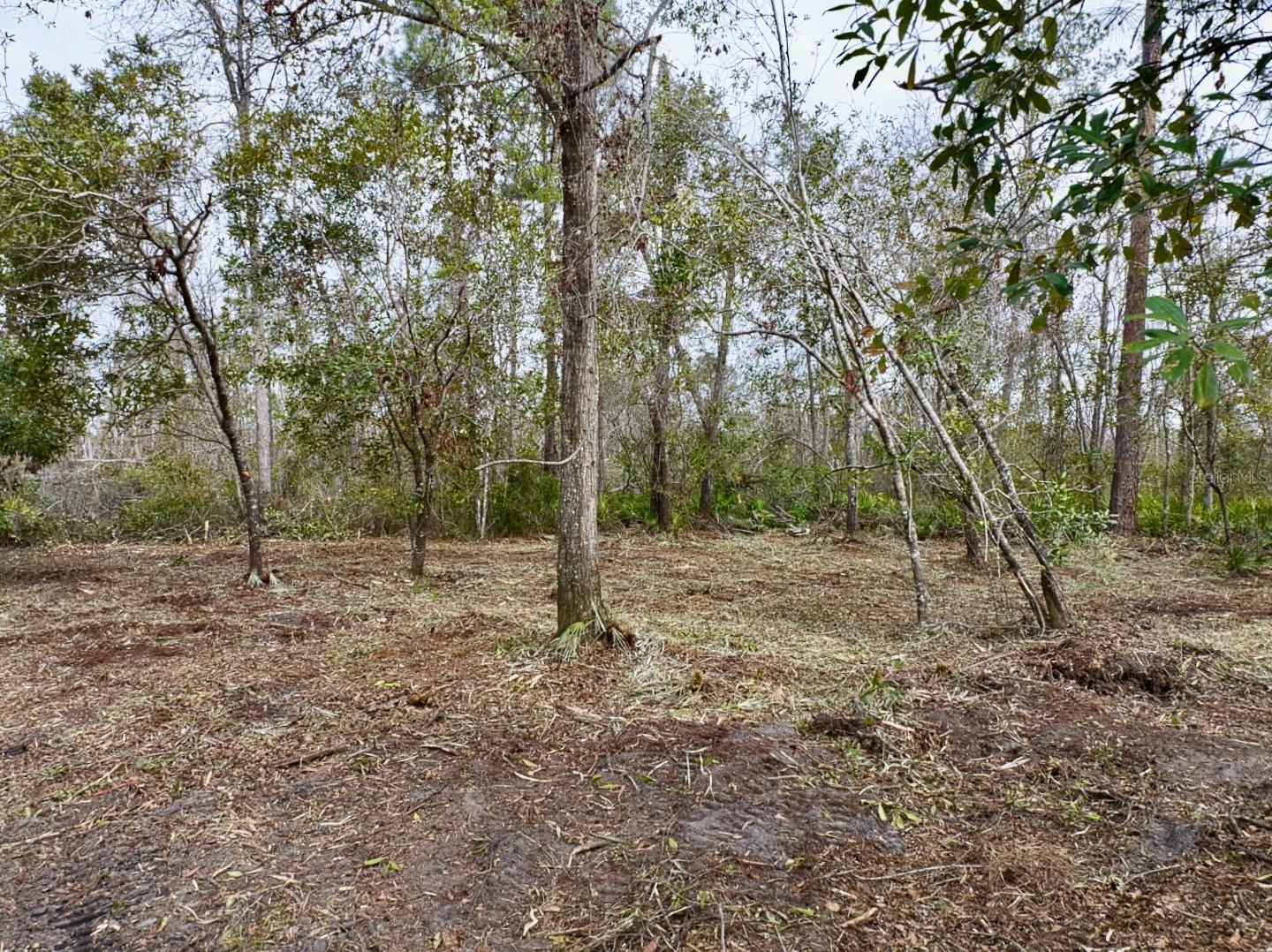 County Road 152 Property Photo 6