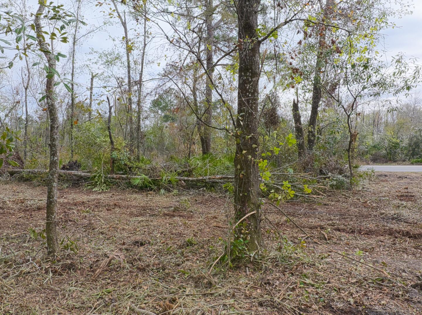 County Road 152 Property Photo 9