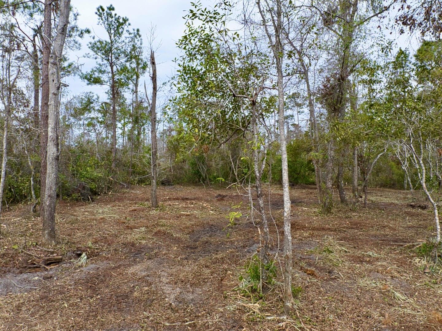 County Road 152 Property Photo 10