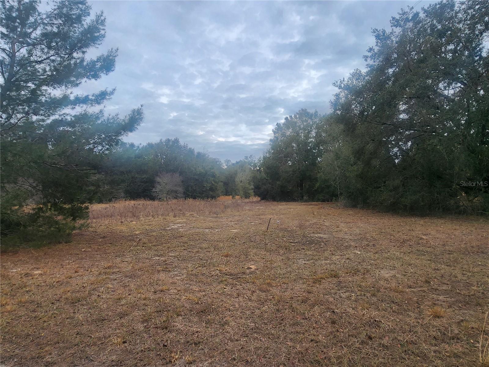 2407 Jackson St Property Photo 4