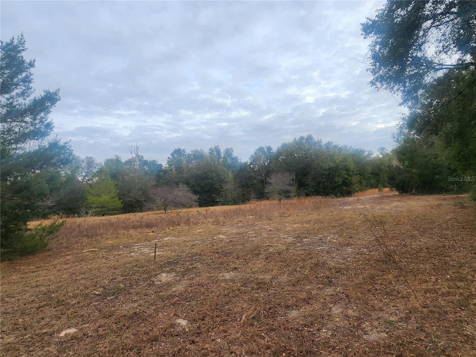 2407 Jackson St Property Photo 5