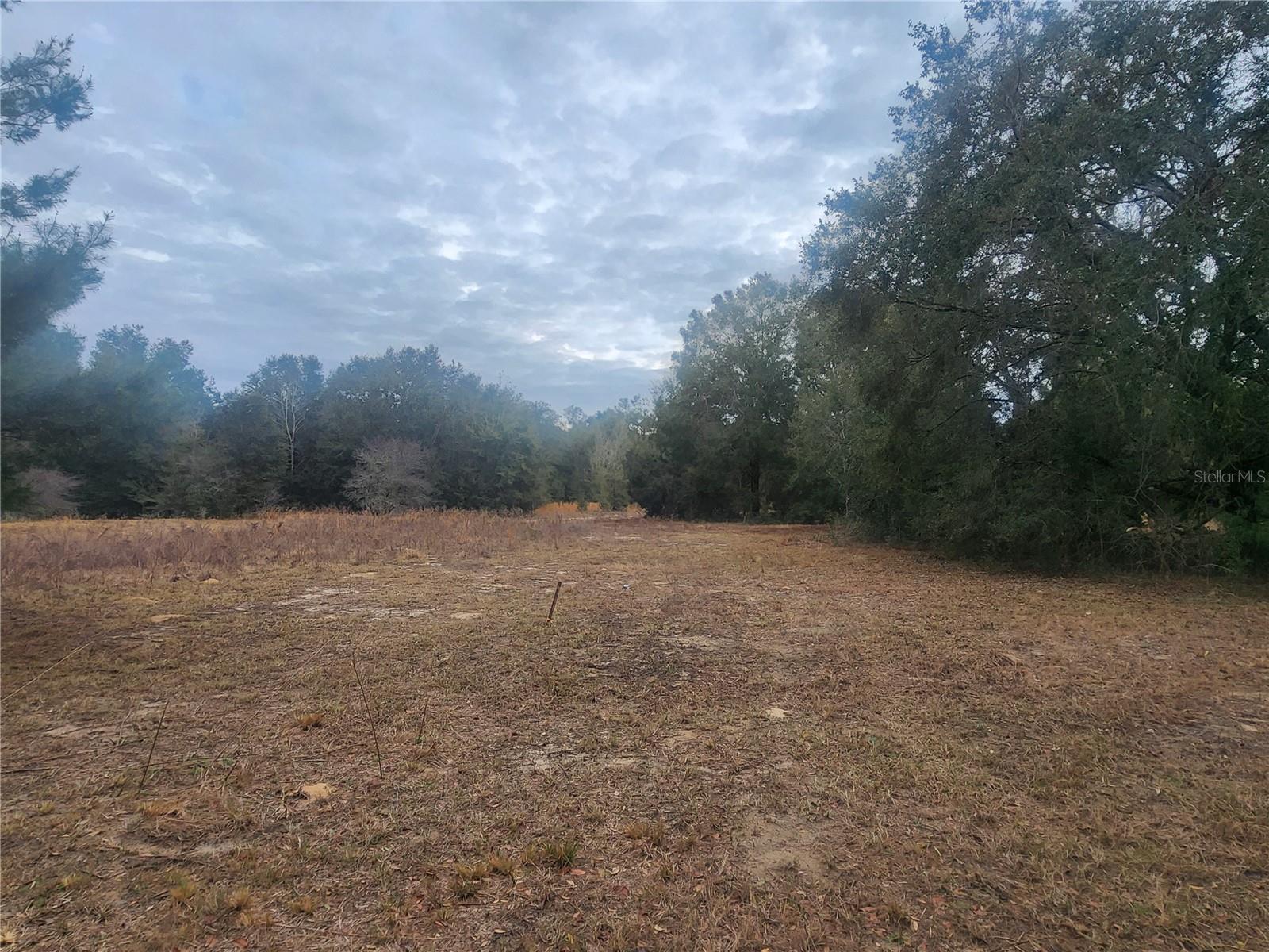2407 Jackson St Property Photo 8
