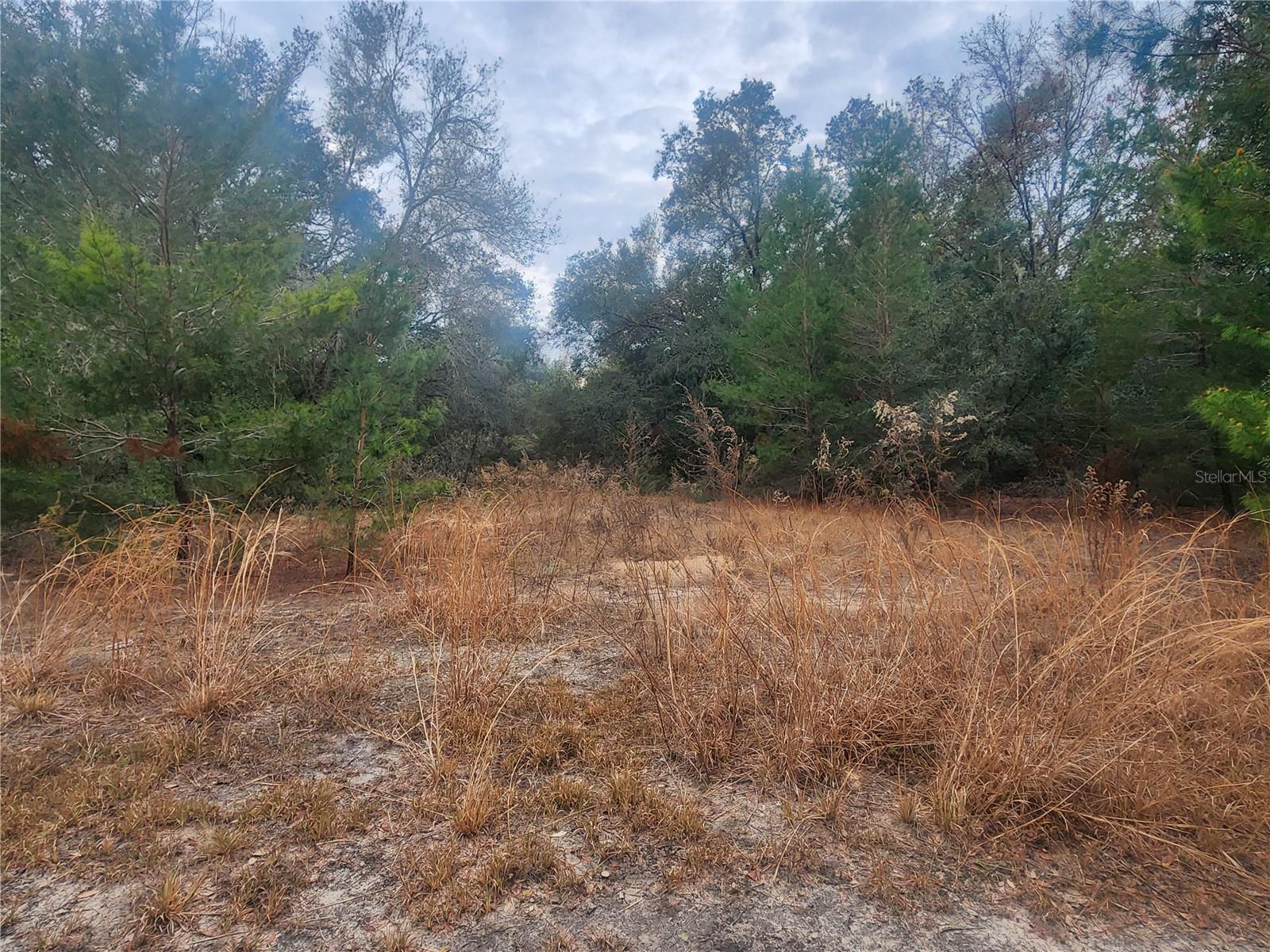 2407 Jackson St Property Photo 13