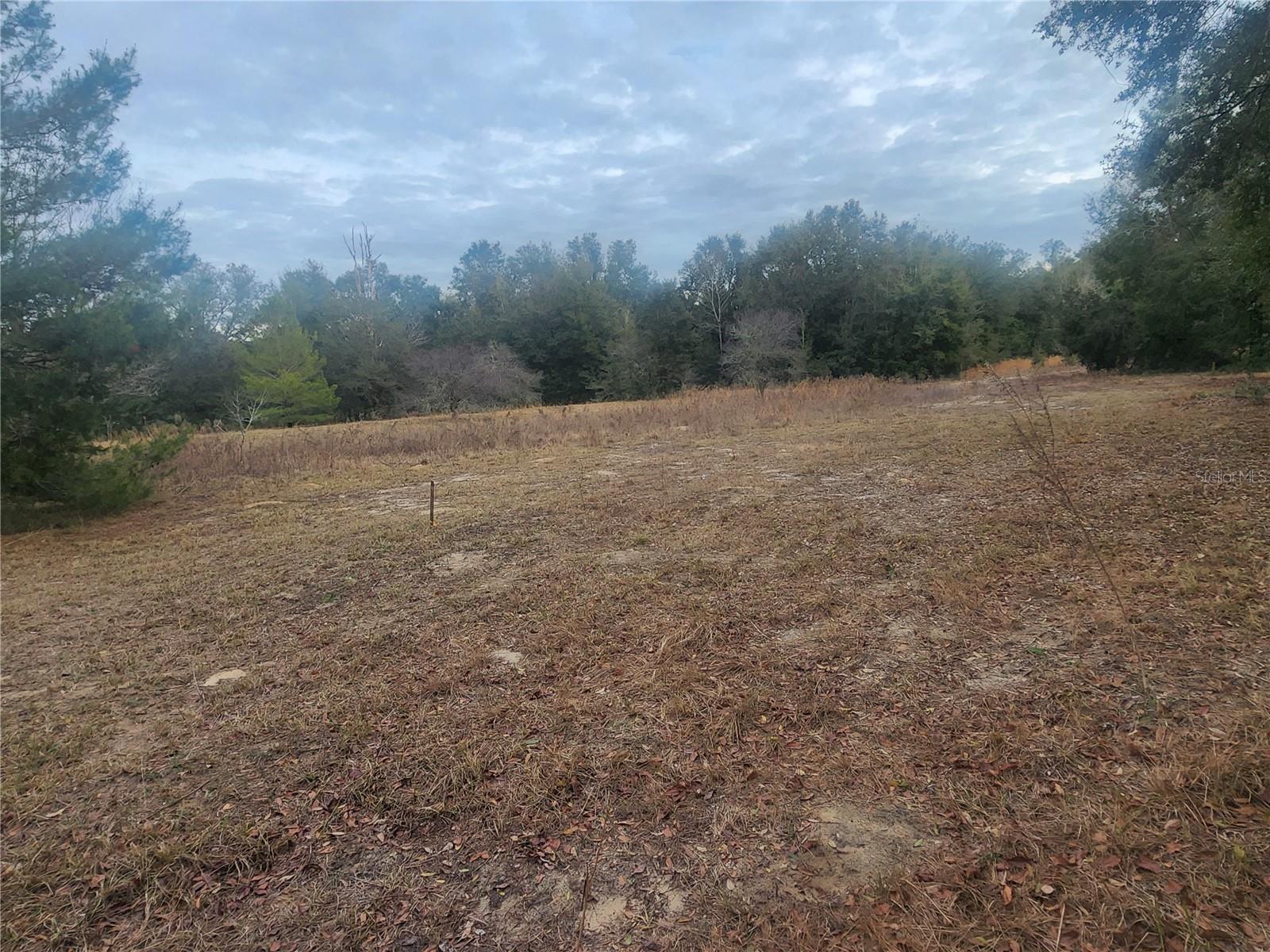 2407 Jackson St Property Photo 15