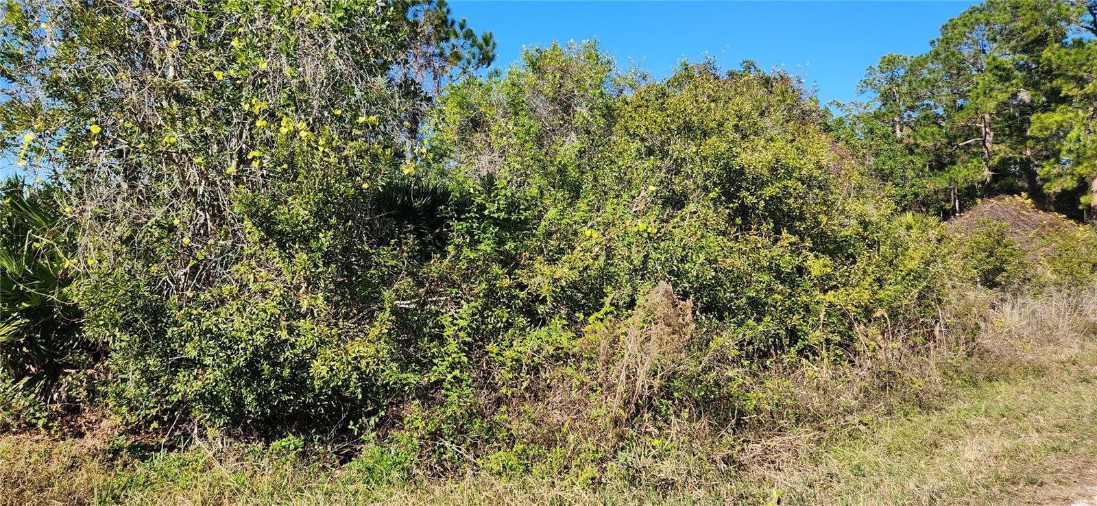 0000 Malauka Radl Property Photo 3