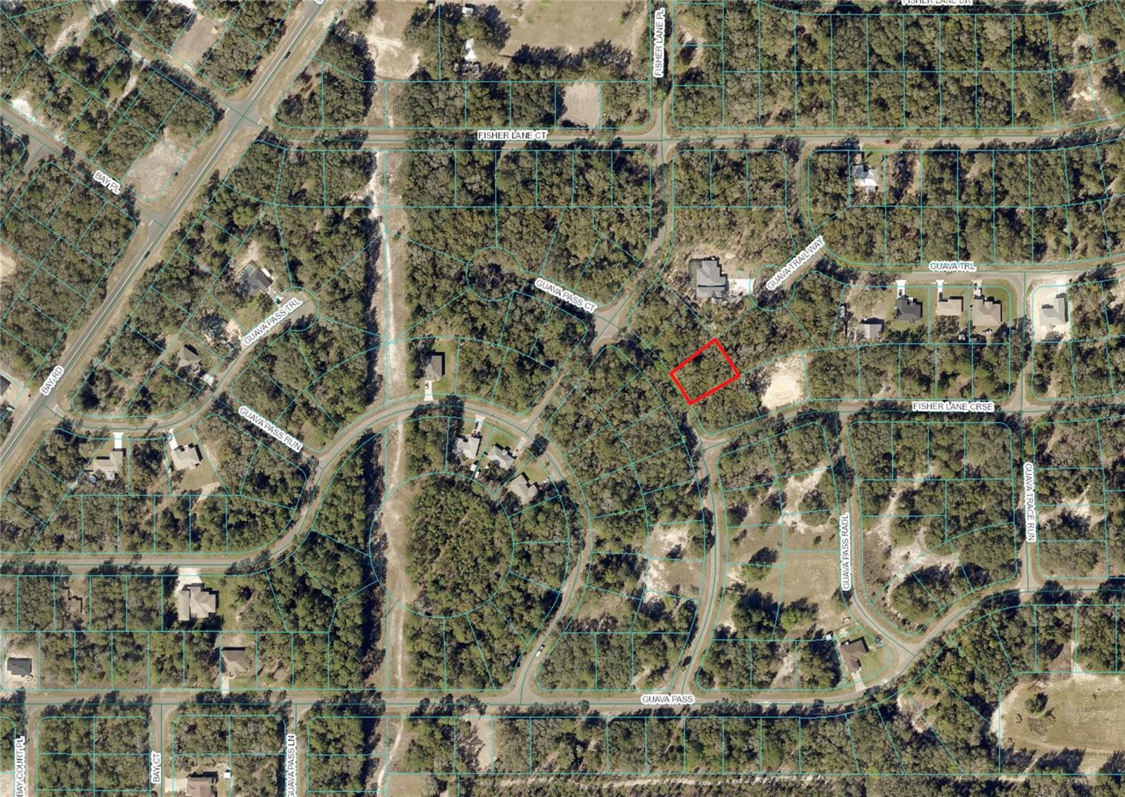 Guava Pass Ct Property Photo 1