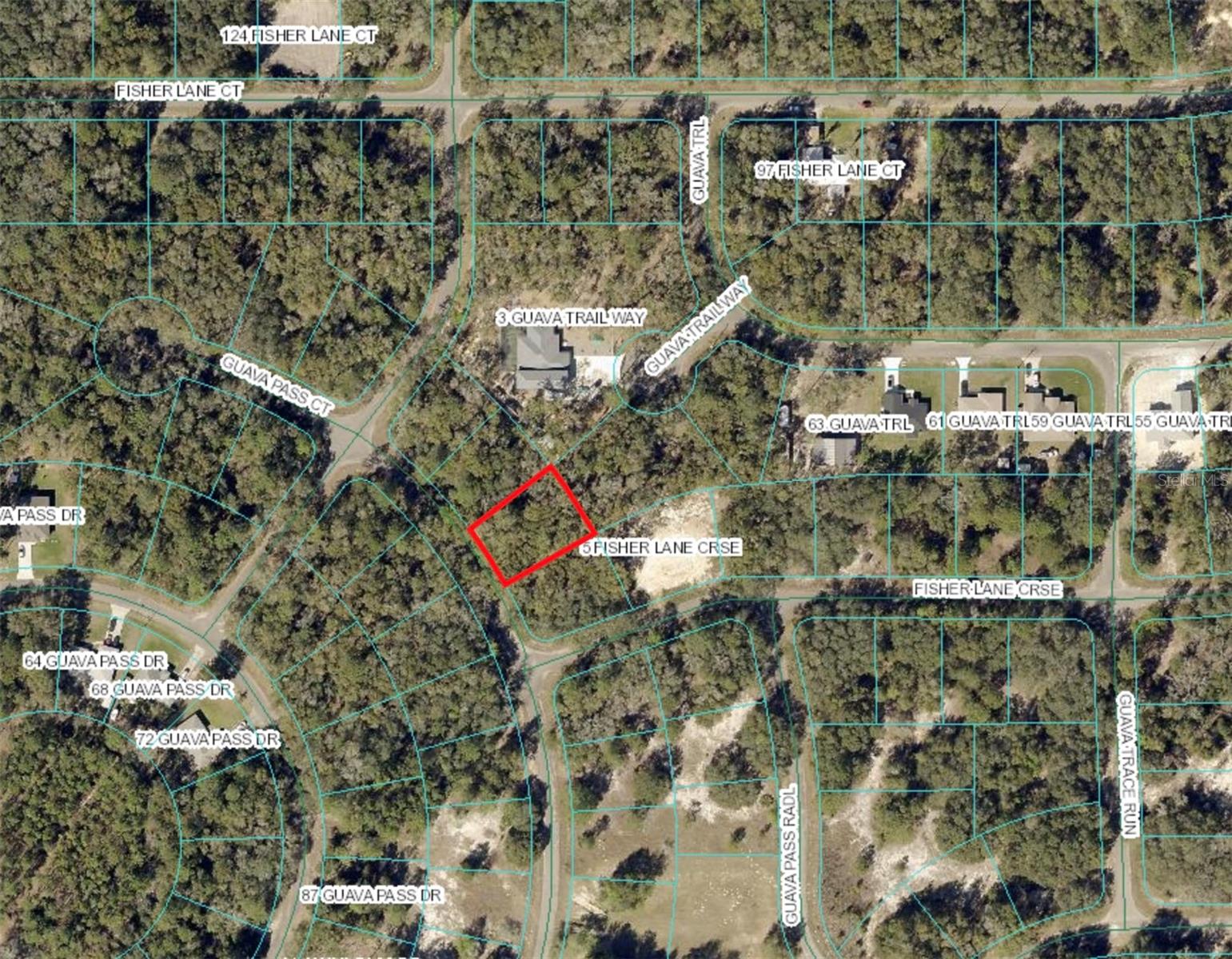 Guava Pass Ct Property Photo 2