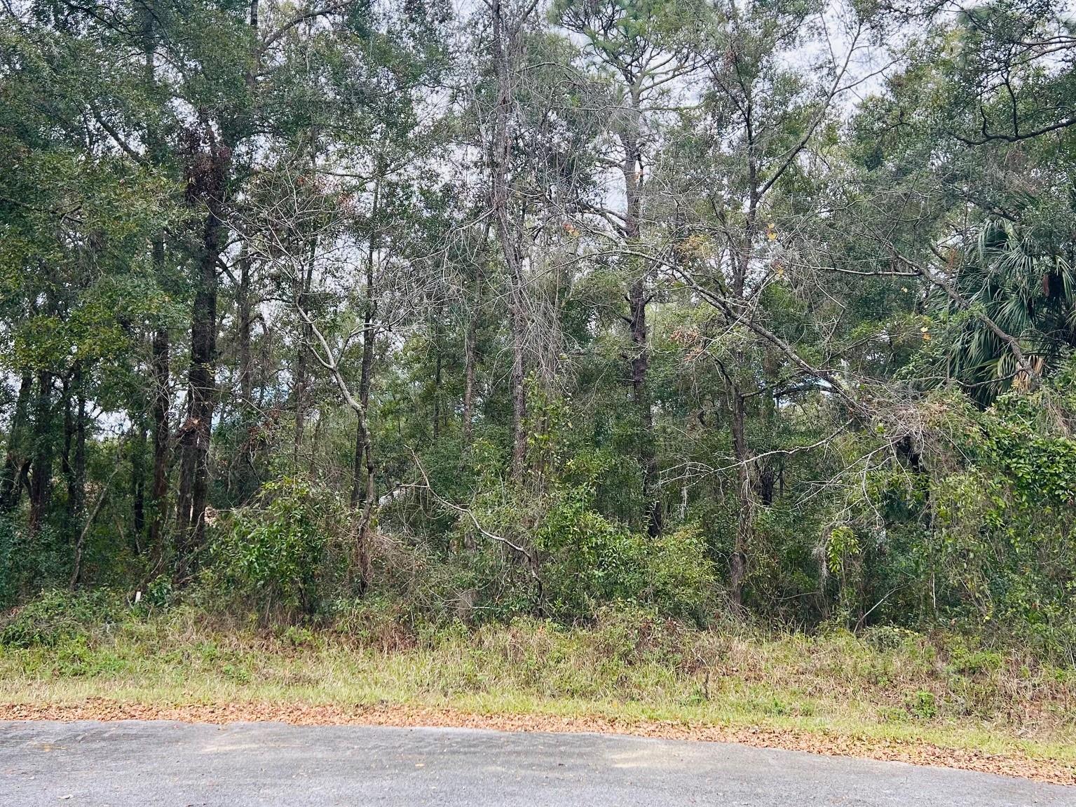 Tba Sw 97th Loop Lot 18 Property Photo 1