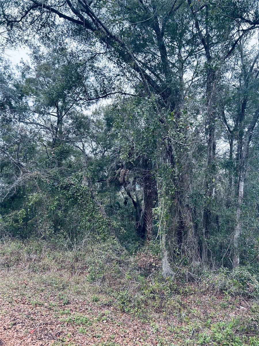Tba Sw 97th Loop Lot 18 Property Photo 2