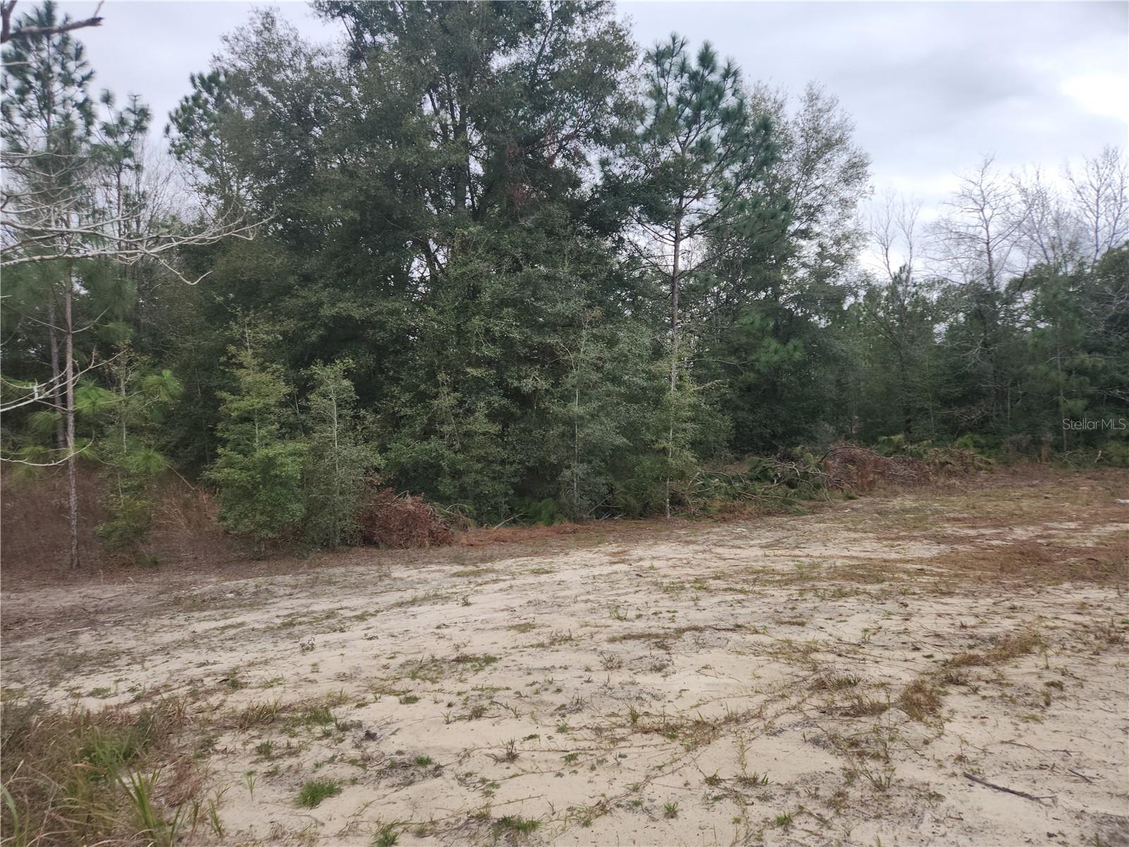 Sw 150th Ct Property Photo 5