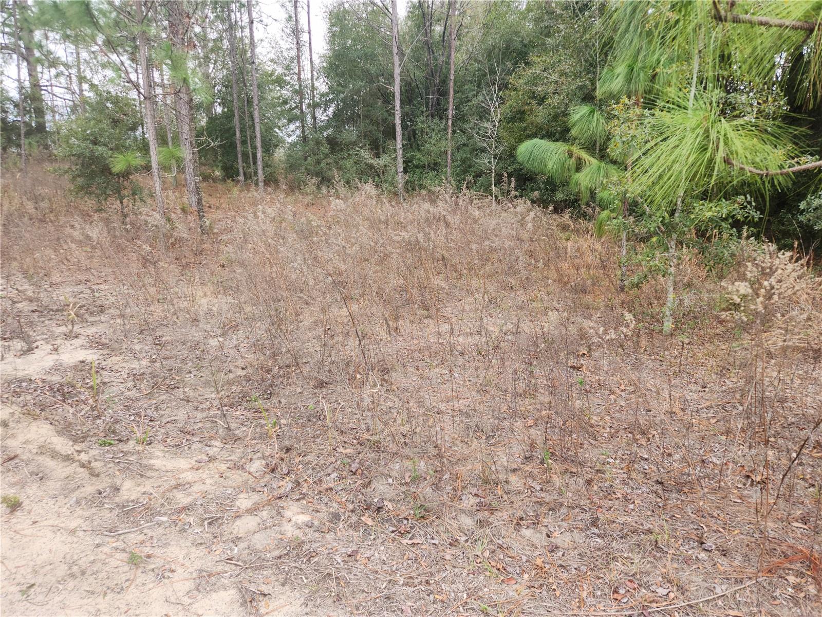 Sw 150th Ct Property Photo 6
