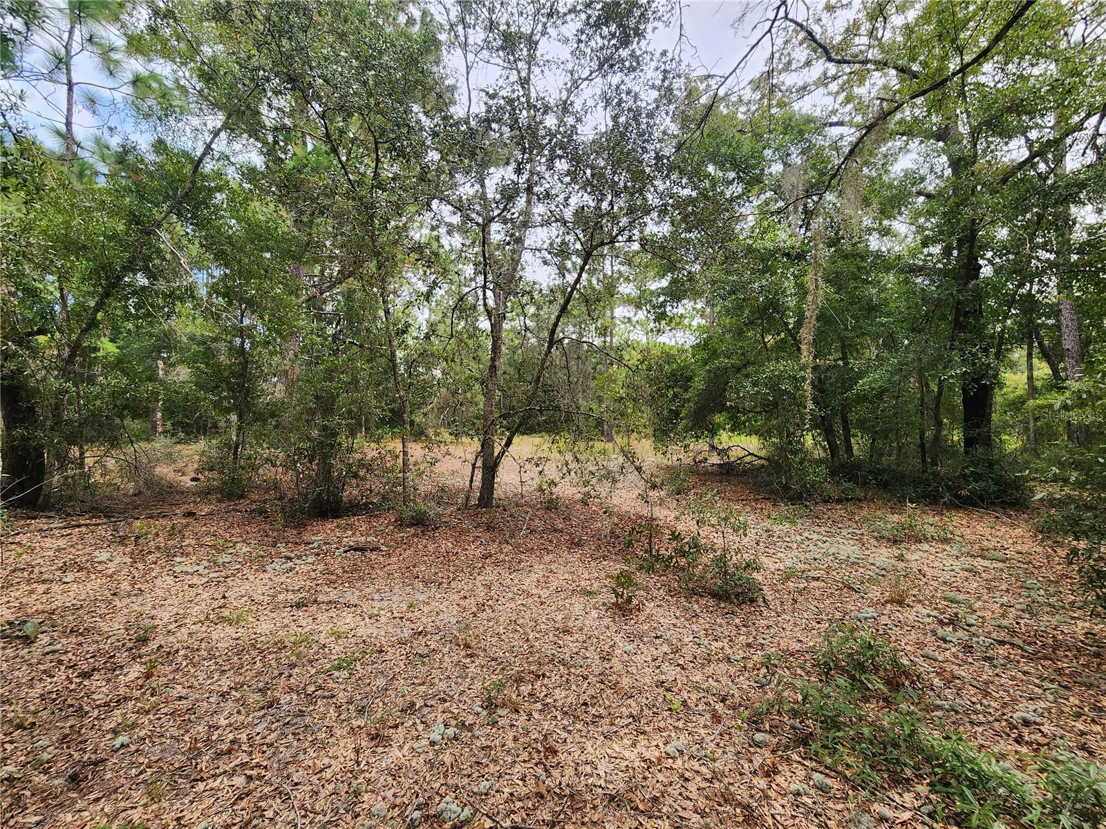Tbd Shorewood Dr Property Photo 2