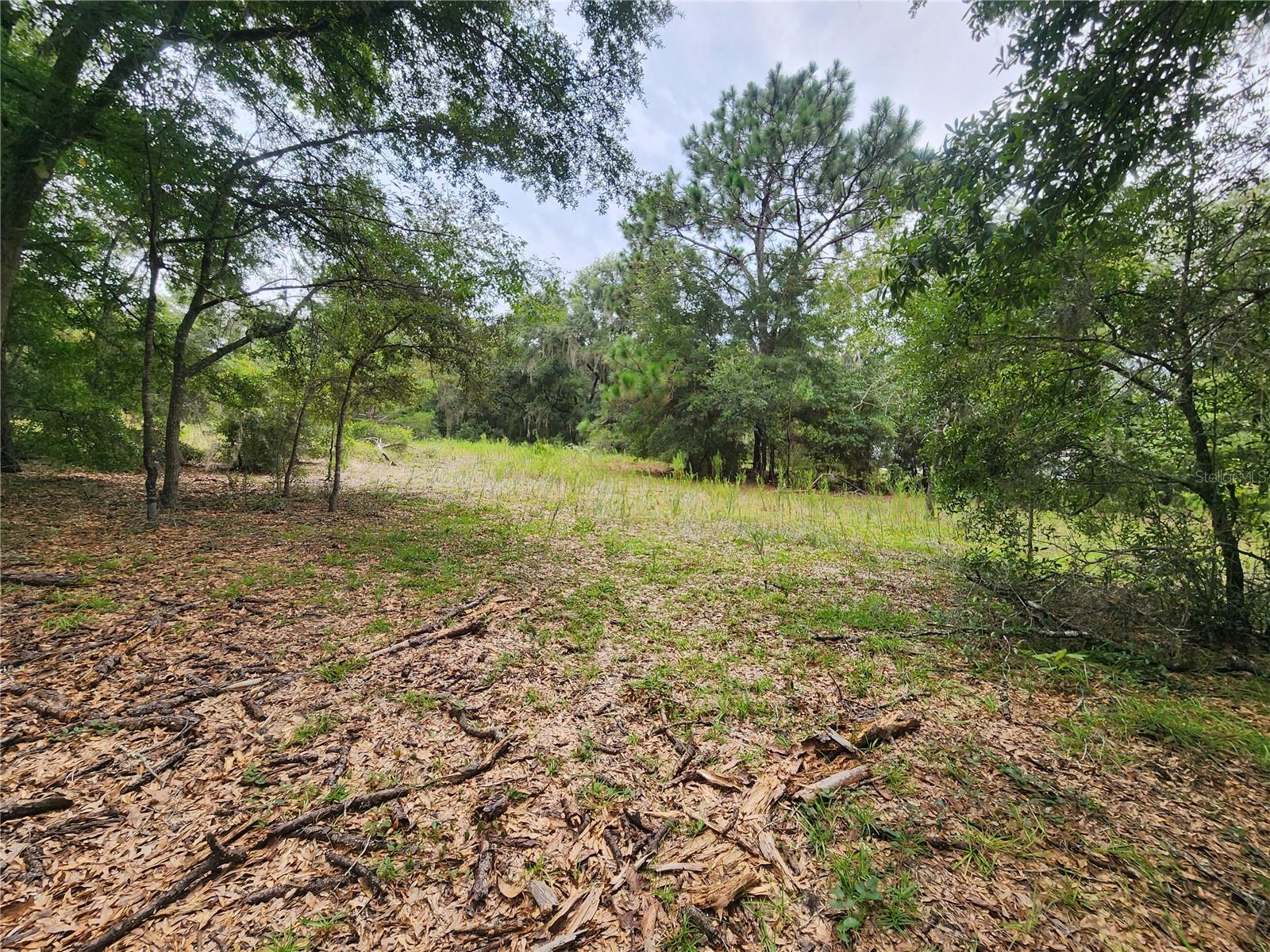 Tbd Shorewood Dr Property Photo 3