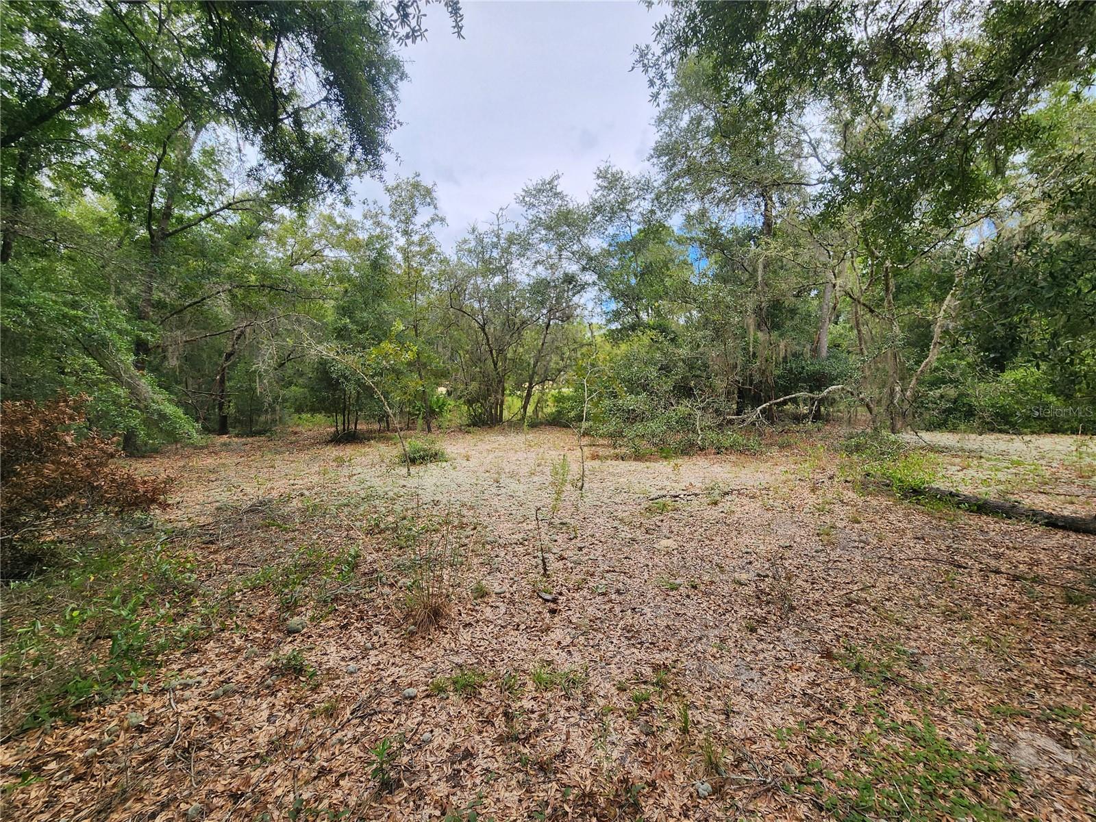 Tbd Shorewood Dr Property Photo 4