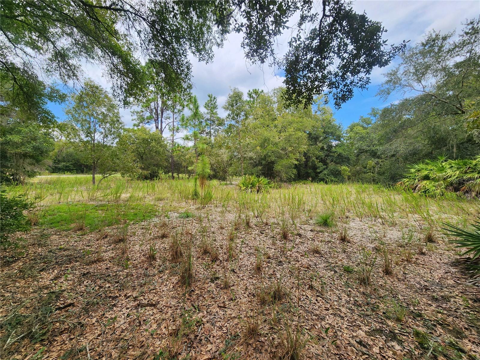 Tbd Shorewood Dr Property Photo 7