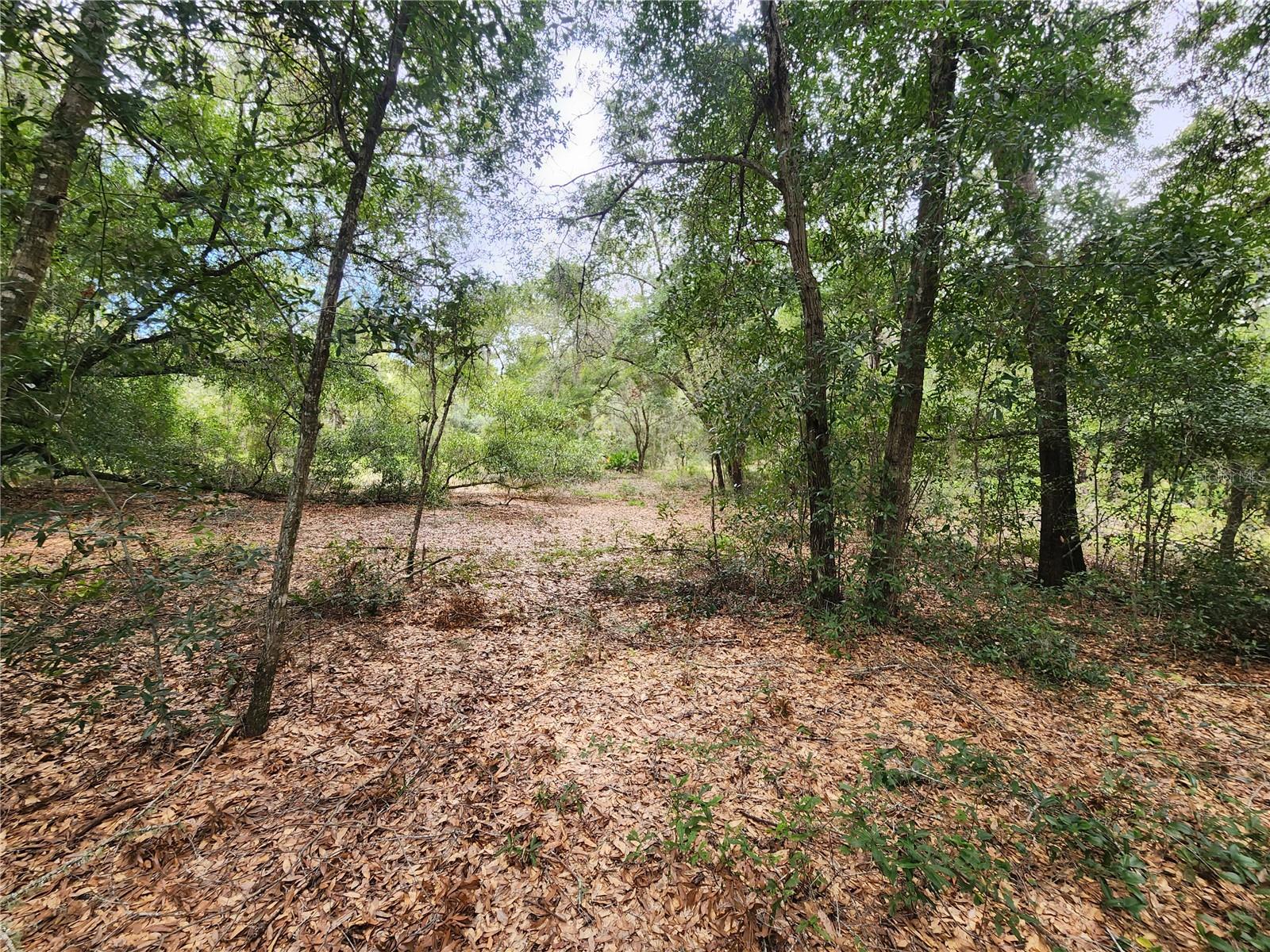 Tbd Shorewood Dr Property Photo 8