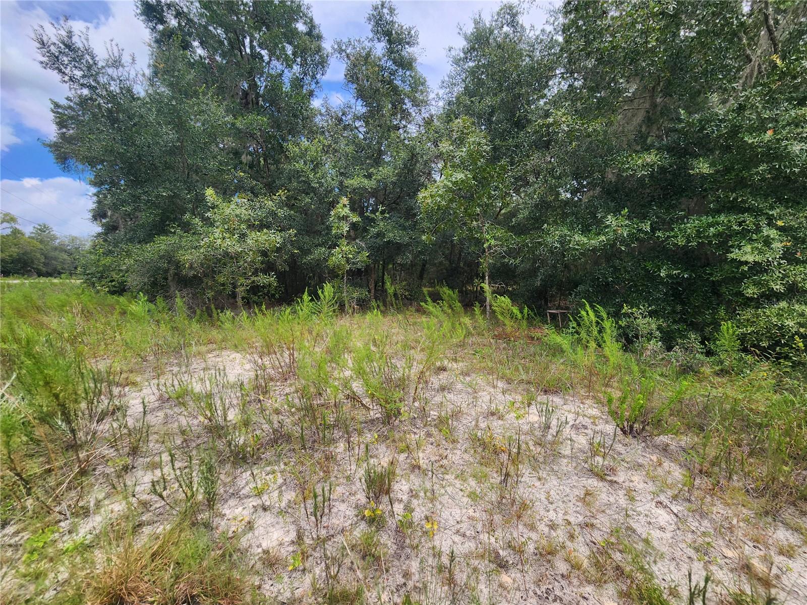 Tbd Shorewood Dr Property Photo 9