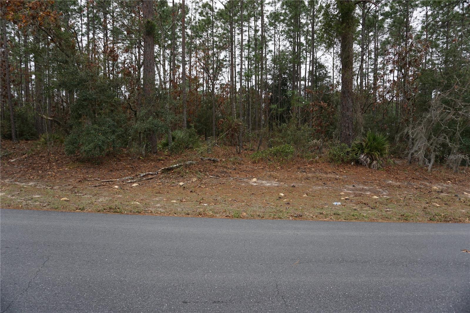 00 (tbd) Sw 77 Ct Property Photo 1