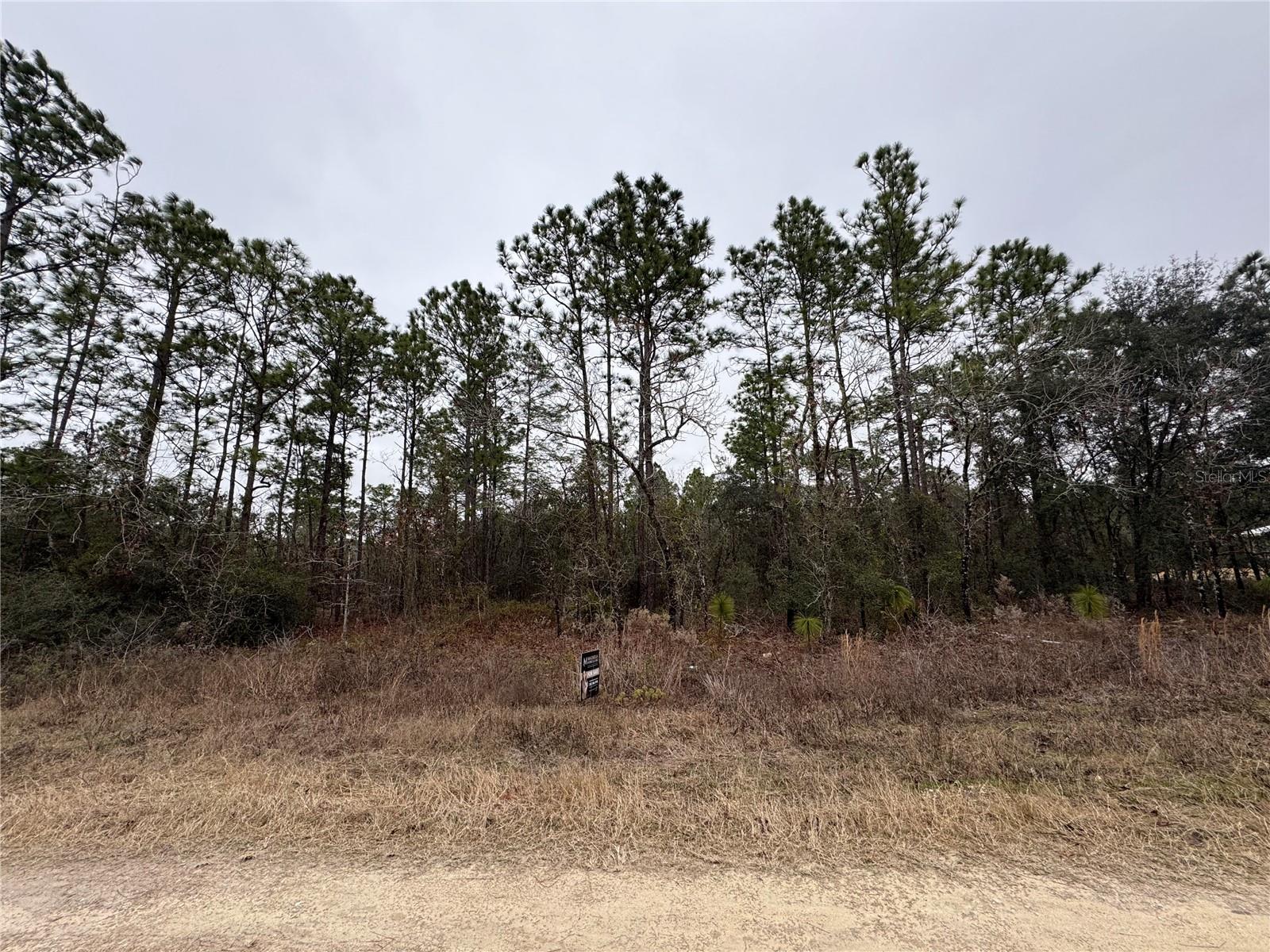 Tbd Sw 91st Ln Property Photo 2