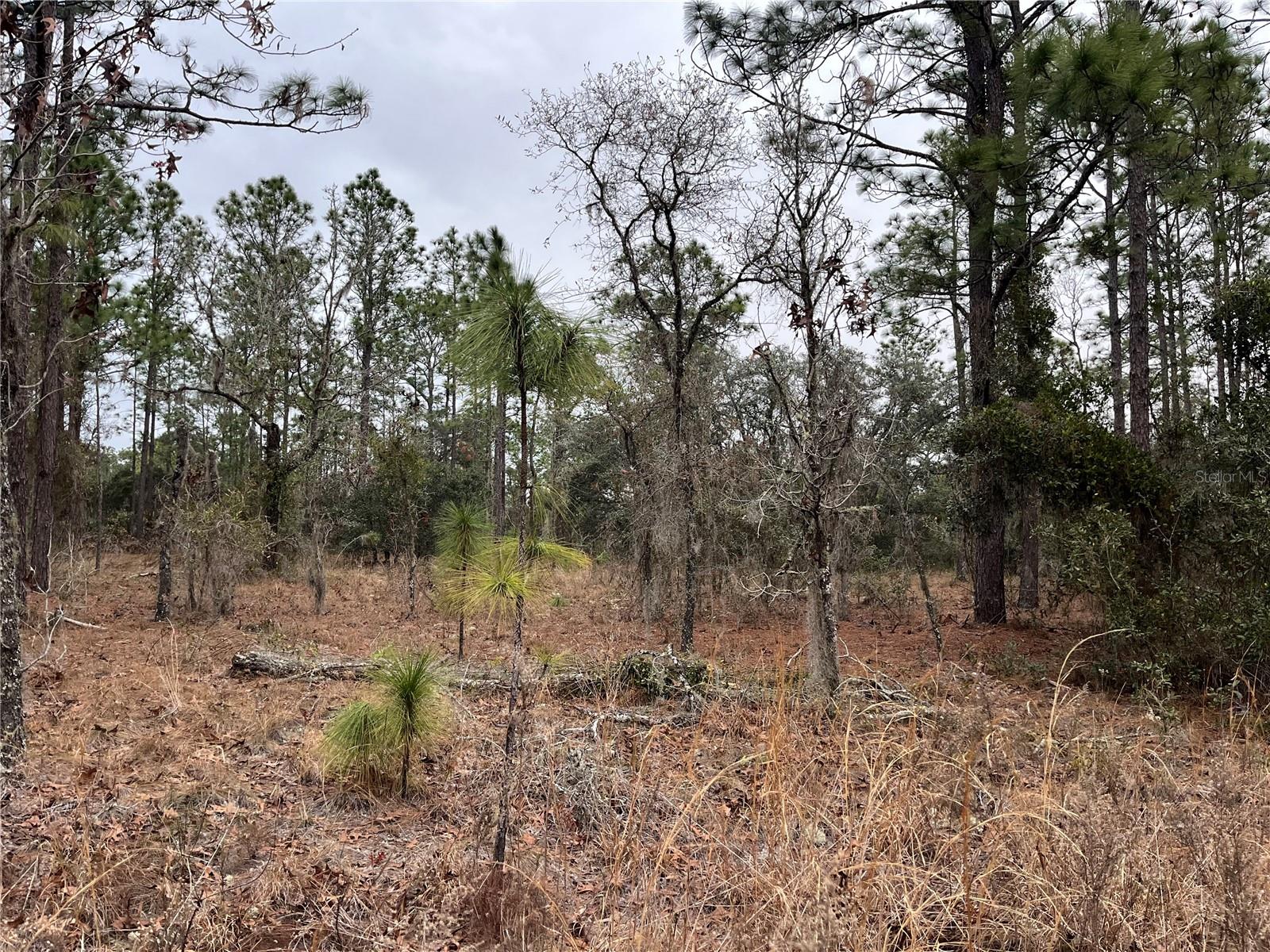 Lot 57 Nw Skylark St Property Photo 1